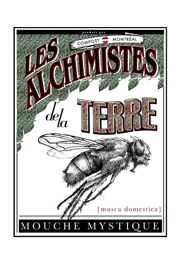 LesAlchimists_Fly.jpg