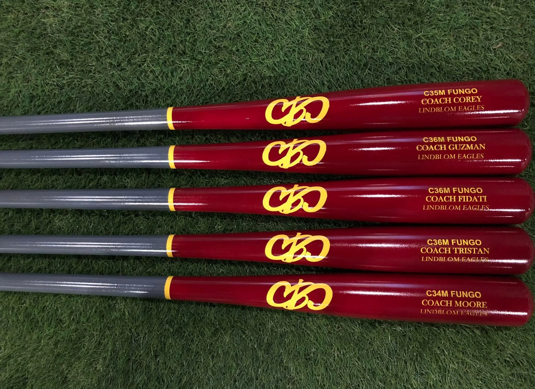 fungo4.jpg