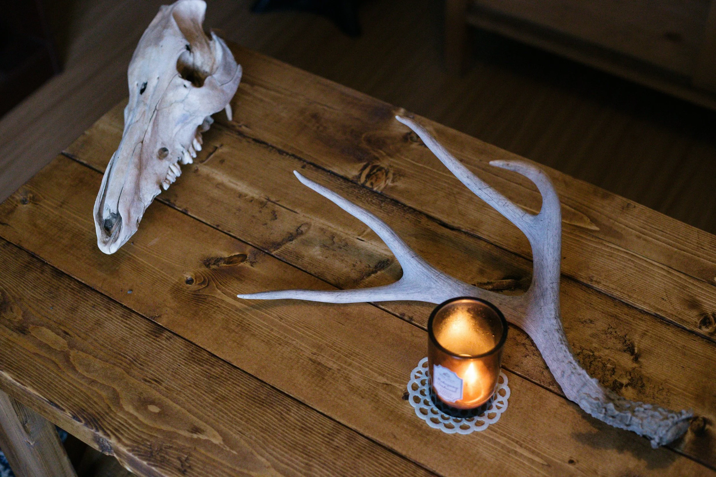 Table with bones and candle, representing uncoupling ceremony services by Rachel Shopper Counseling in Asheville, NC