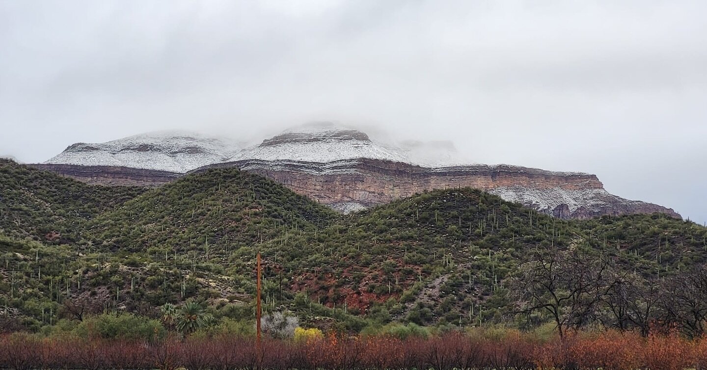 Snow-capped views of Bradenburg Mountain from the orchard.

#aravaipacanyon #arizonawinter #bradenburg #aravaiparunning