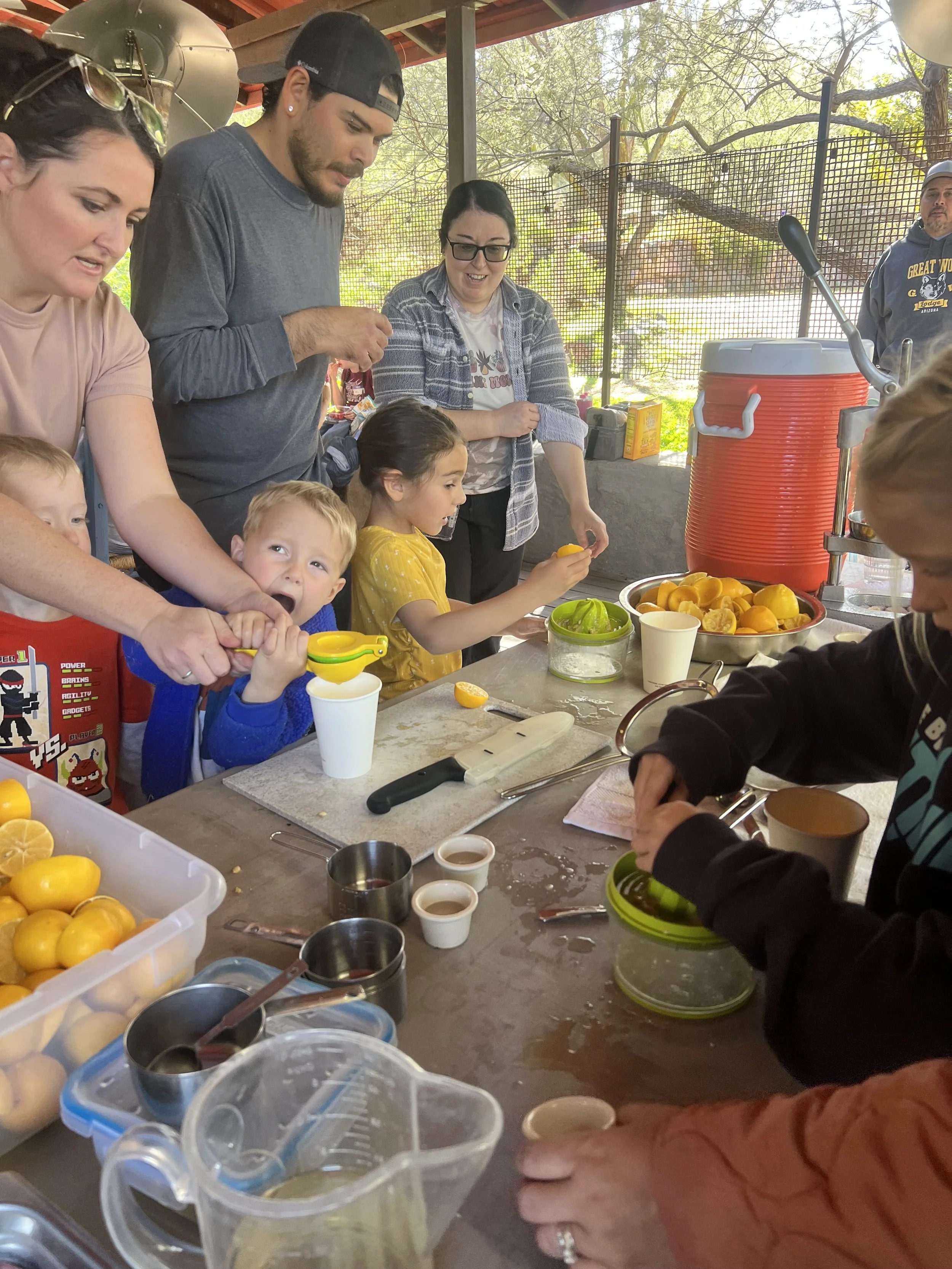 Workshops & Creative Gatherings