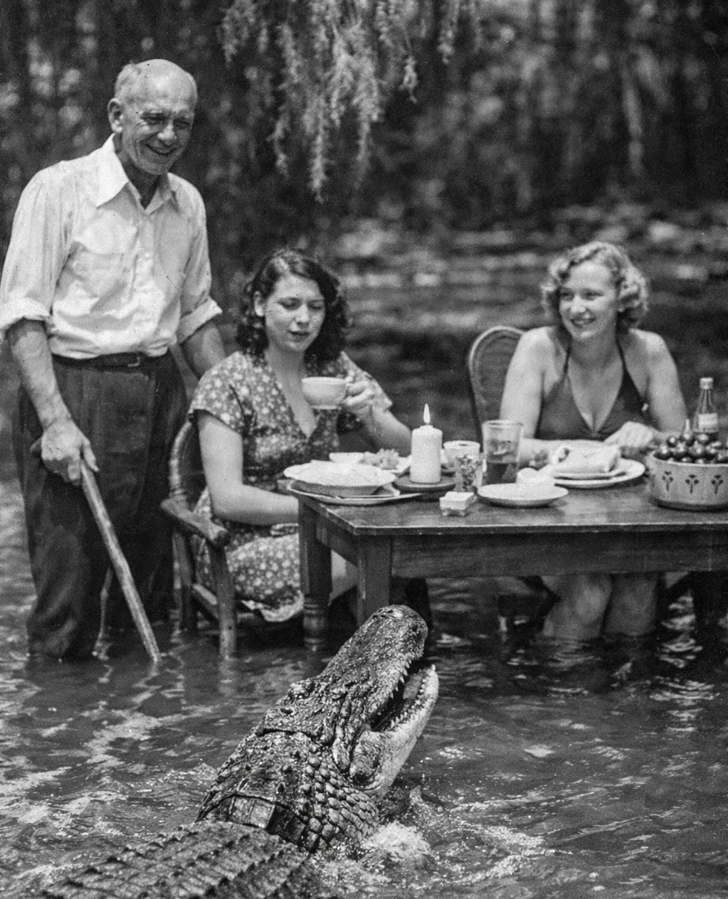 Oh you like bourbon too? Pull up a chair friendo 🐊 ⁠
⁠
#gators #swampthings #cajun #bourbon