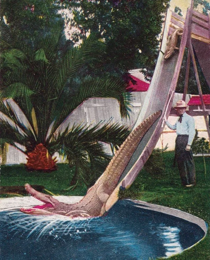 Sliding into summer bayou style 🐊 Have a safe and happy holiday y&rsquo;all!⁠
⁠
#🇺🇸 #memorialday #summertime #gators #holidaze