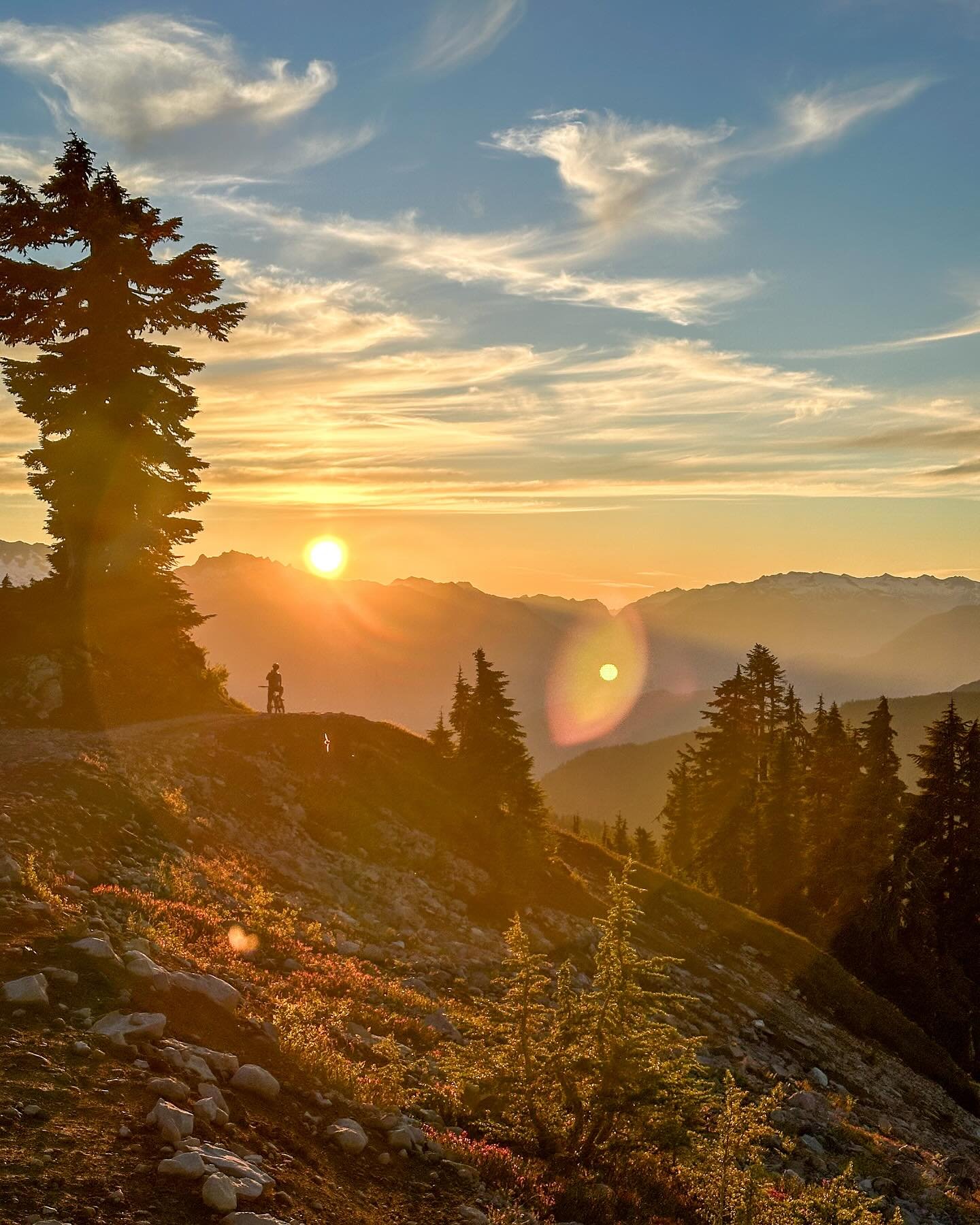 To live in this world 

you must be able

to do three things:

to love what is mortal;

to hold it

against your bones knowing

your own life depends on it;

and, when the time comes to let it go,

to let it go.

- Mary Oliver