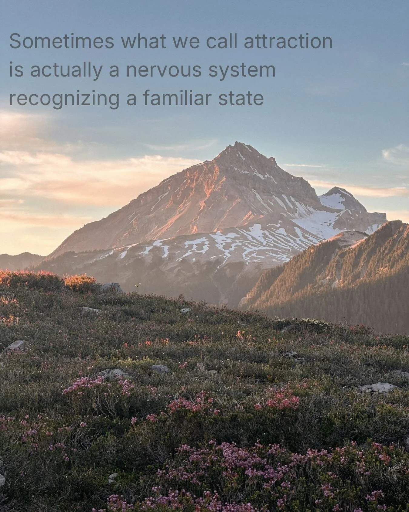 Sometimes what feels like a spark
isn&rsquo;t really about the person in front of us.

It&rsquo;s about what the body recognizes.

Familiarity can show up as intensity.
As longing.
As a pull that&rsquo;s hard to explain.

Often, that sense of familia