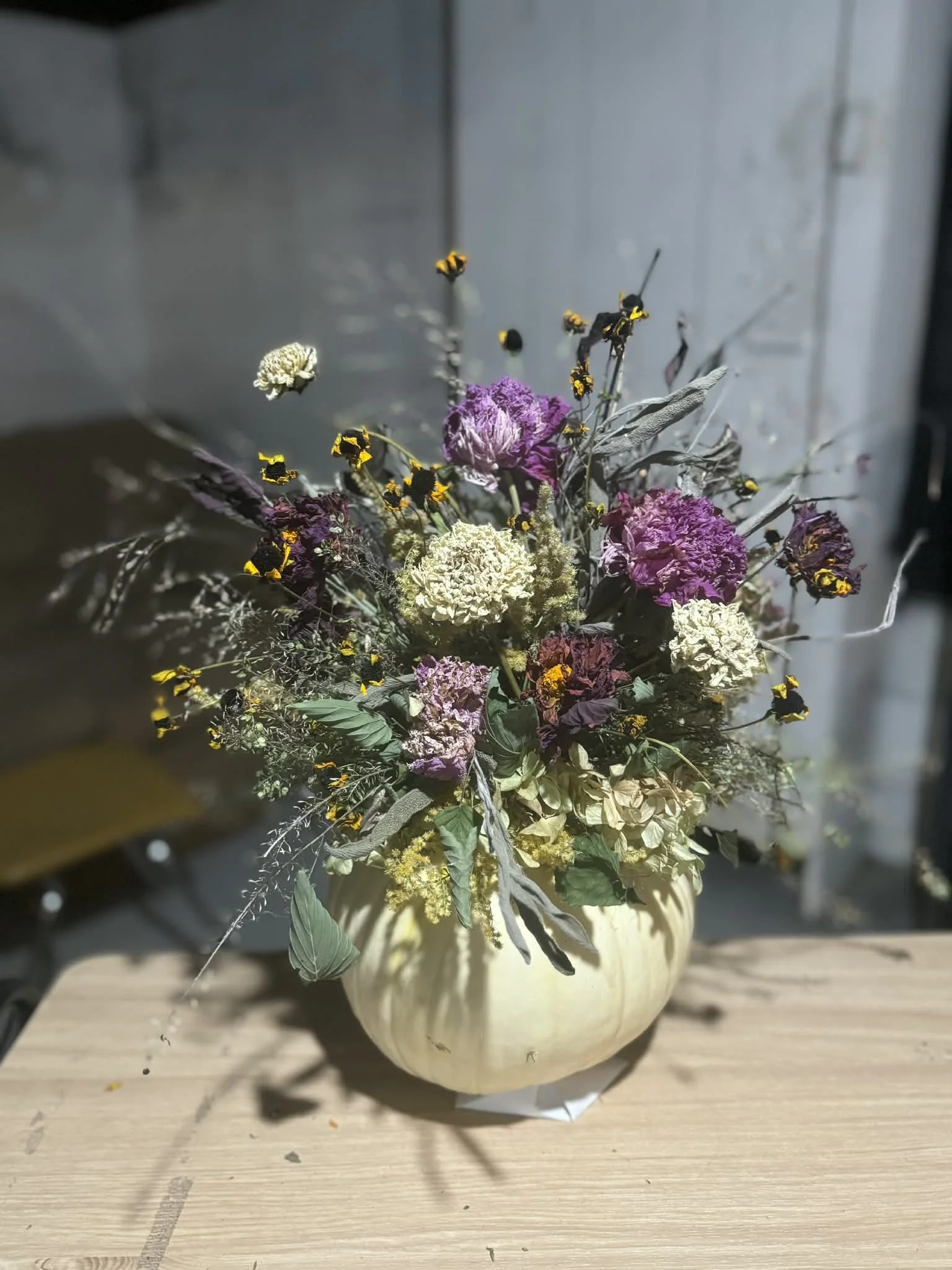 c65ed4d0-cc32-4447-bcf4-f87d567c60bf.jfif