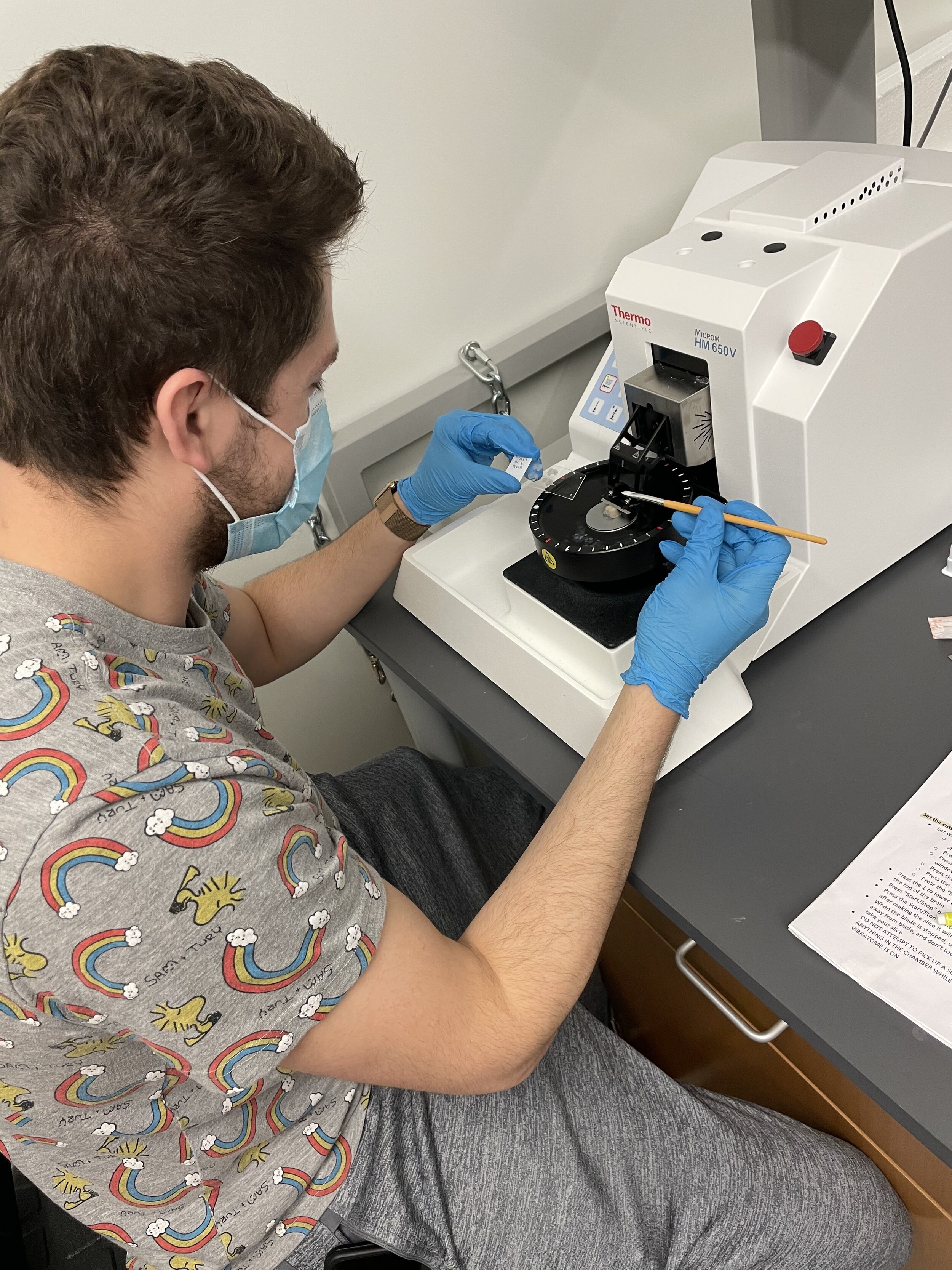 Josh slicing brains