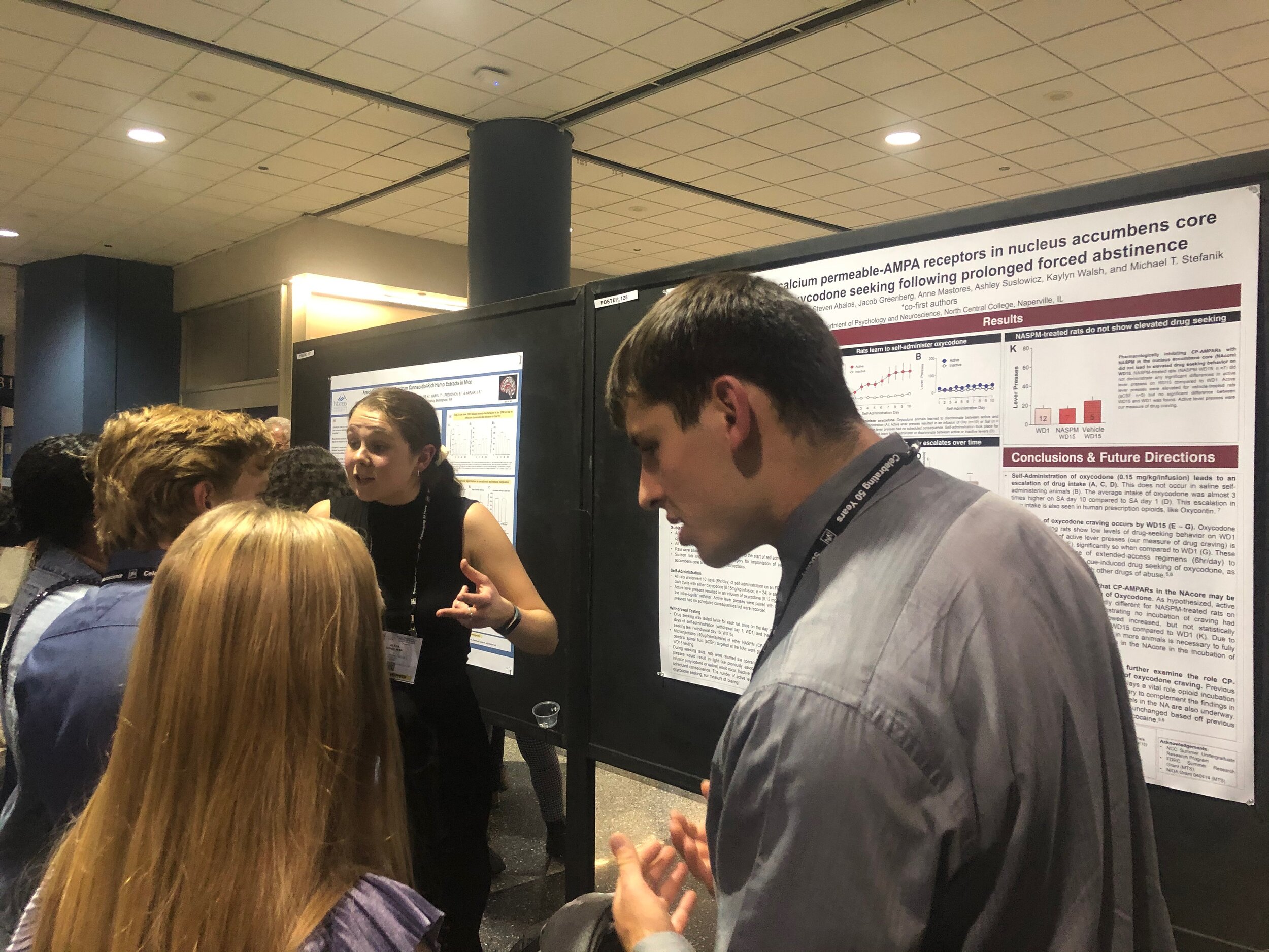 FUN poster sessions 2019