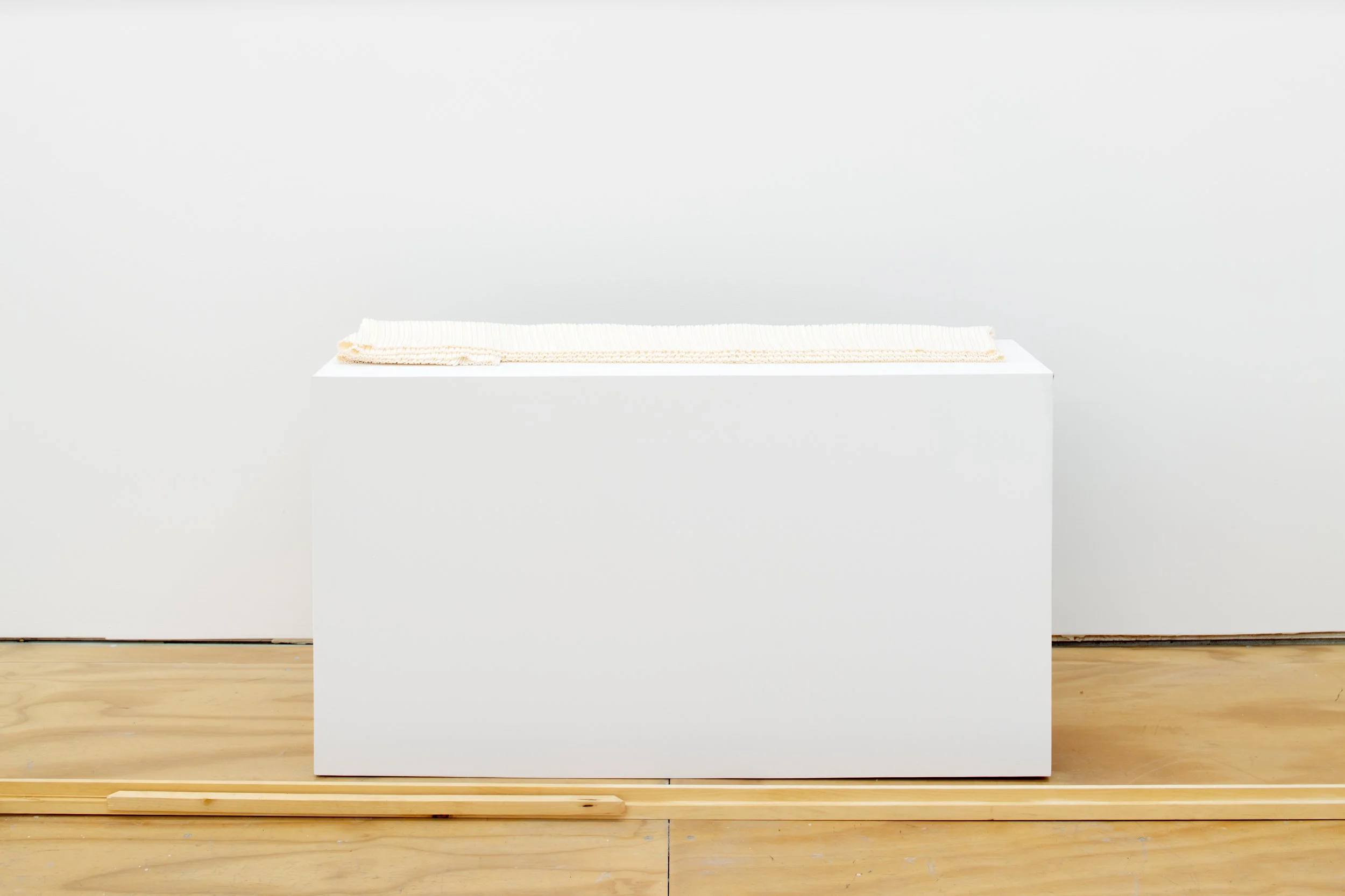 Untitled (White), 2026 
Polyester 
38 x 9 x 2.5 in