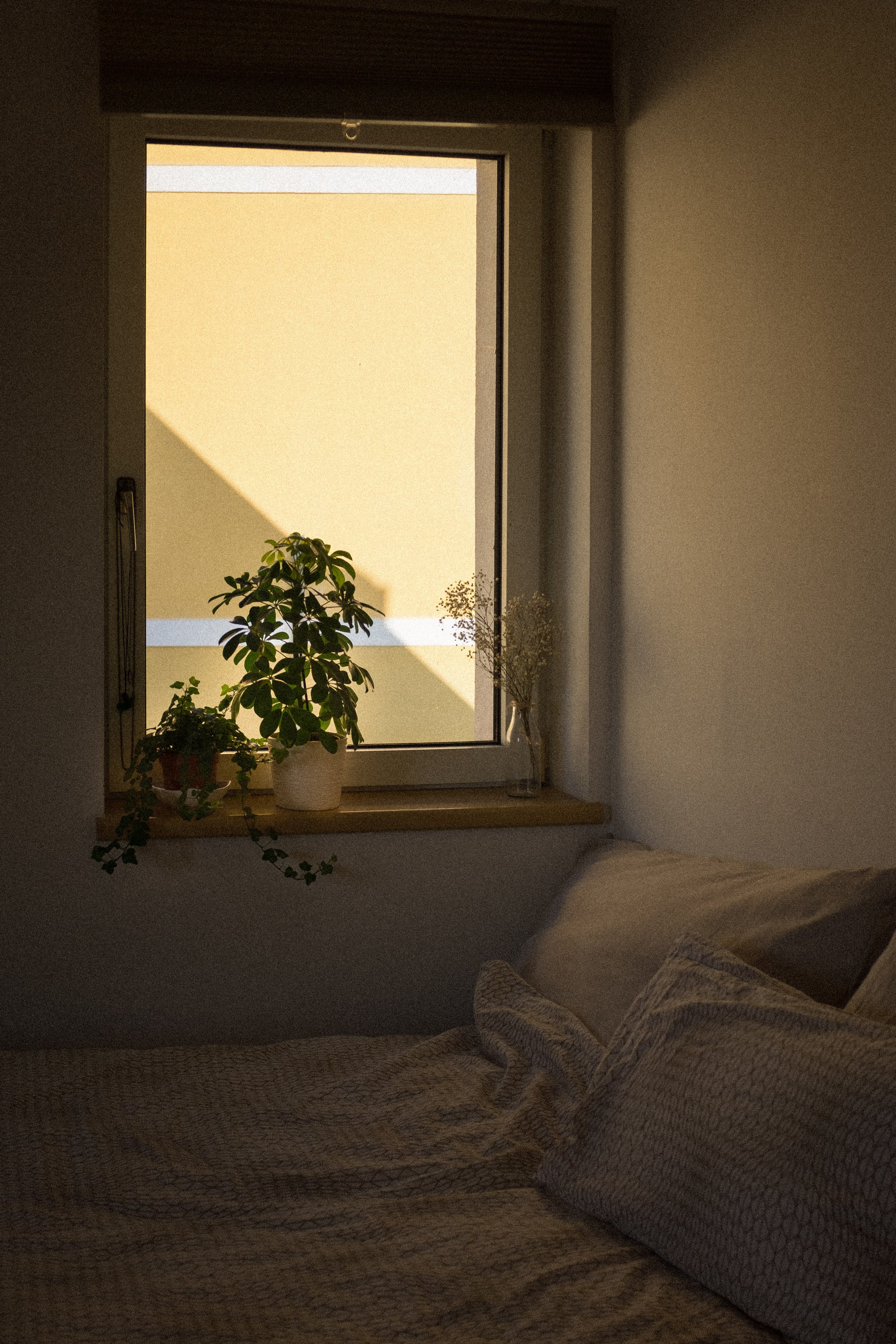 DSCF4200-Edit.jpg