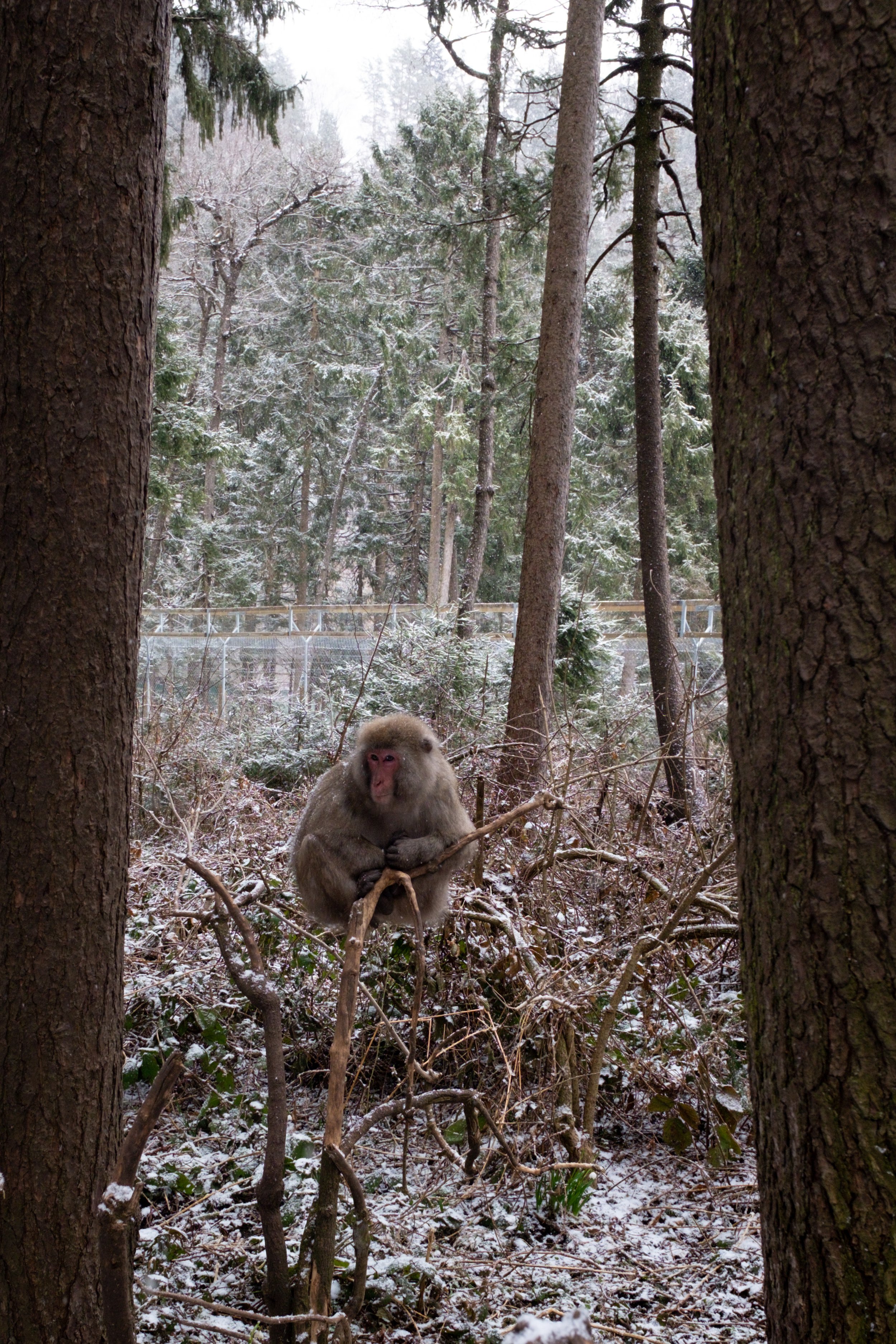 DSCF4345.jpg