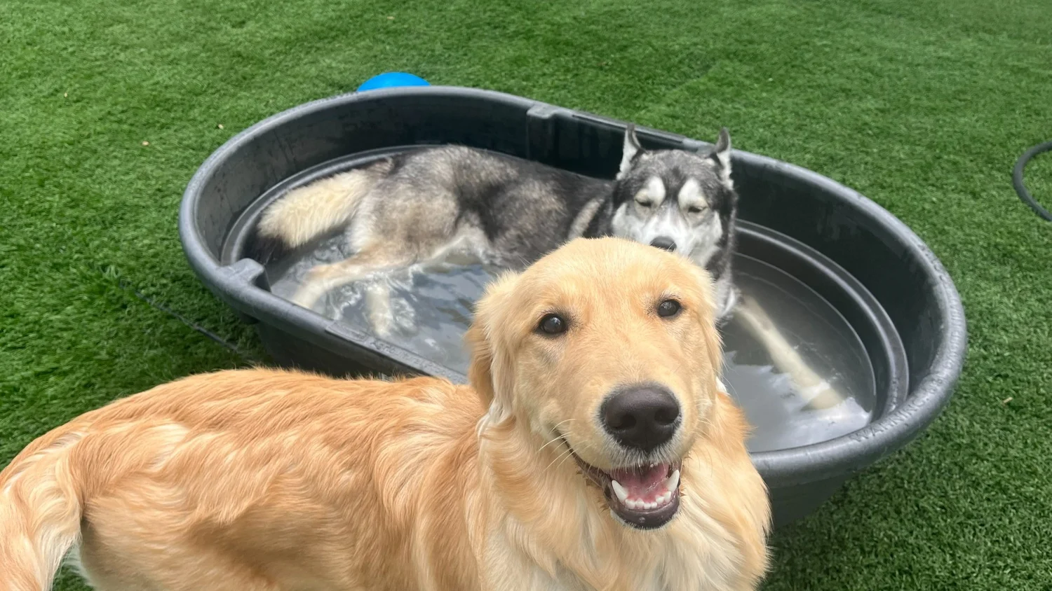 Splendora and Ranger