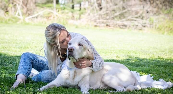 Lyndsey Morgan working with a dog