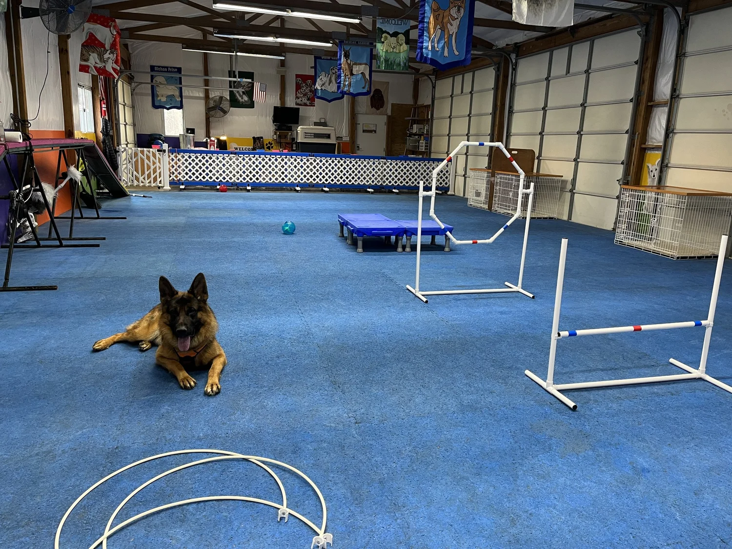 Enrichment w/ Whiskey