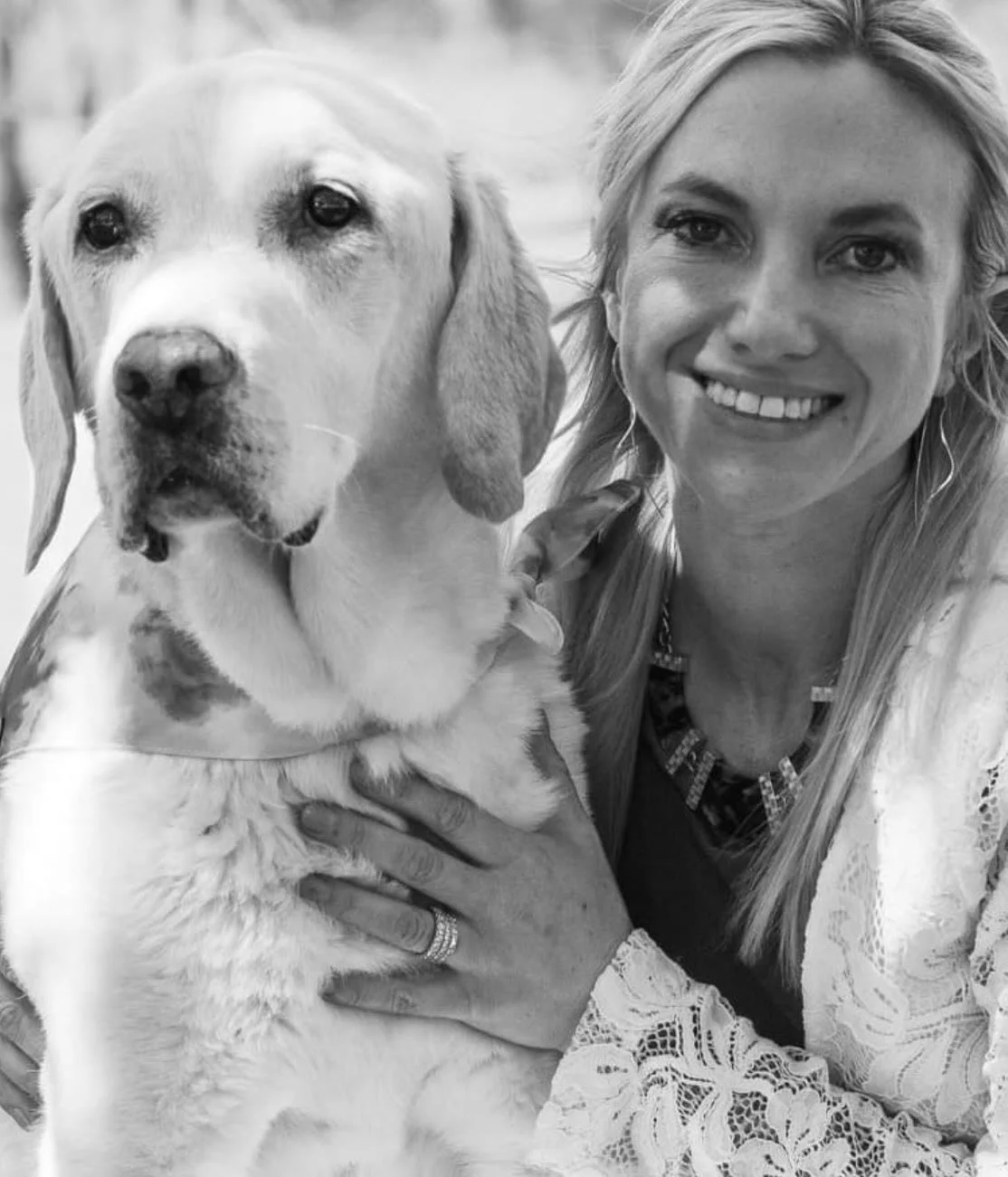 Blue, the yellow English Lab who inspired Obedient BLUE