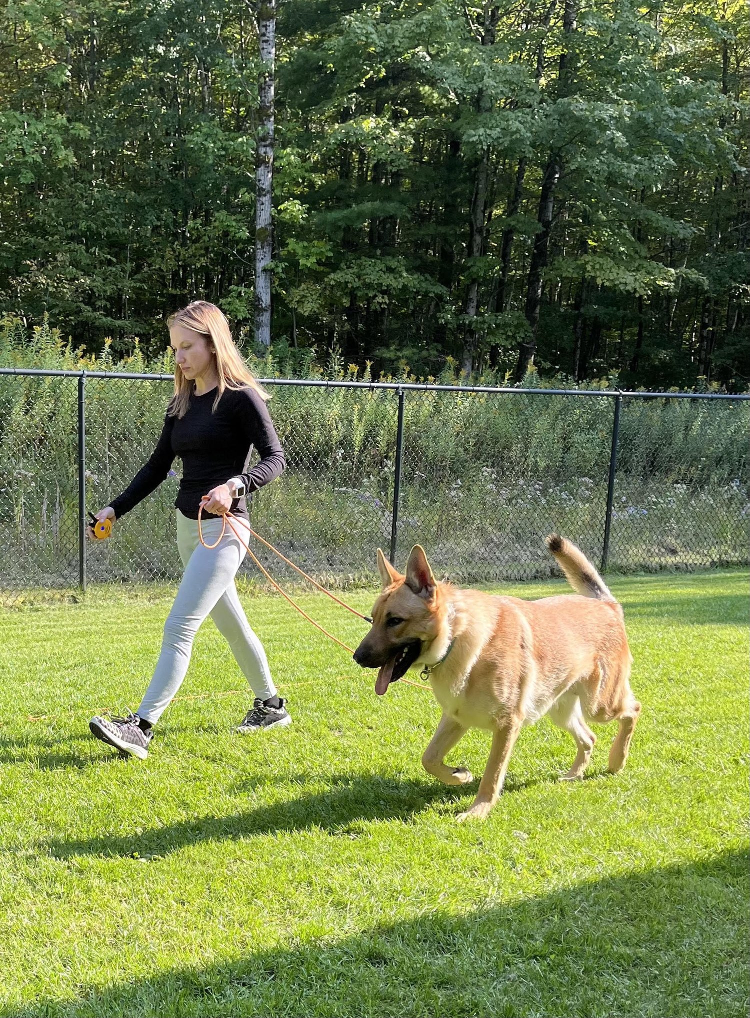 Prepping for off leash