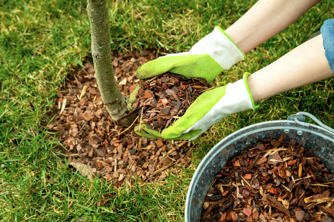 Image of Mulch being spread around trees pinterest