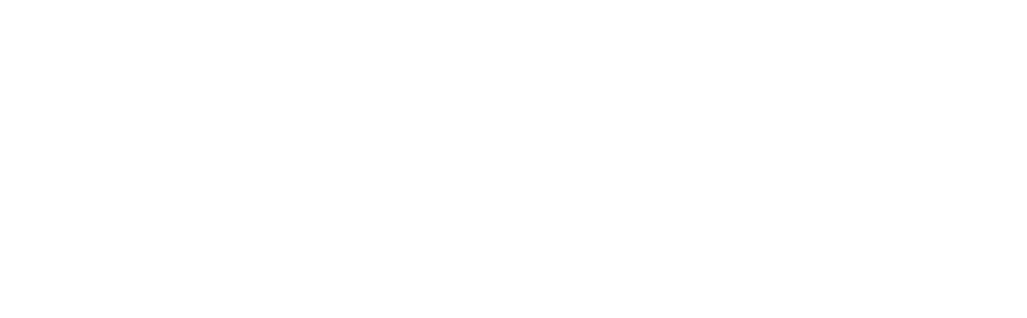 Directorate for Digital Services