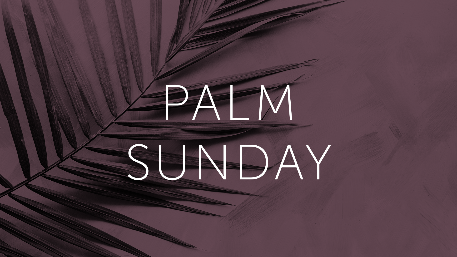 Palm Sunday