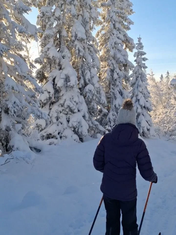 Endelig er skisesongen igang! ❄️💙
Nydelig lys og solen formet en Lotusblomst gjennom vinduet i dag. ☀️

Jeg og barna dro til Lygnas&aelig;tra og der var det -17&deg;C - veeeldig kaldt 🥶 En kort, men veldig fin tur. N&aring; gleder vi oss til at ski