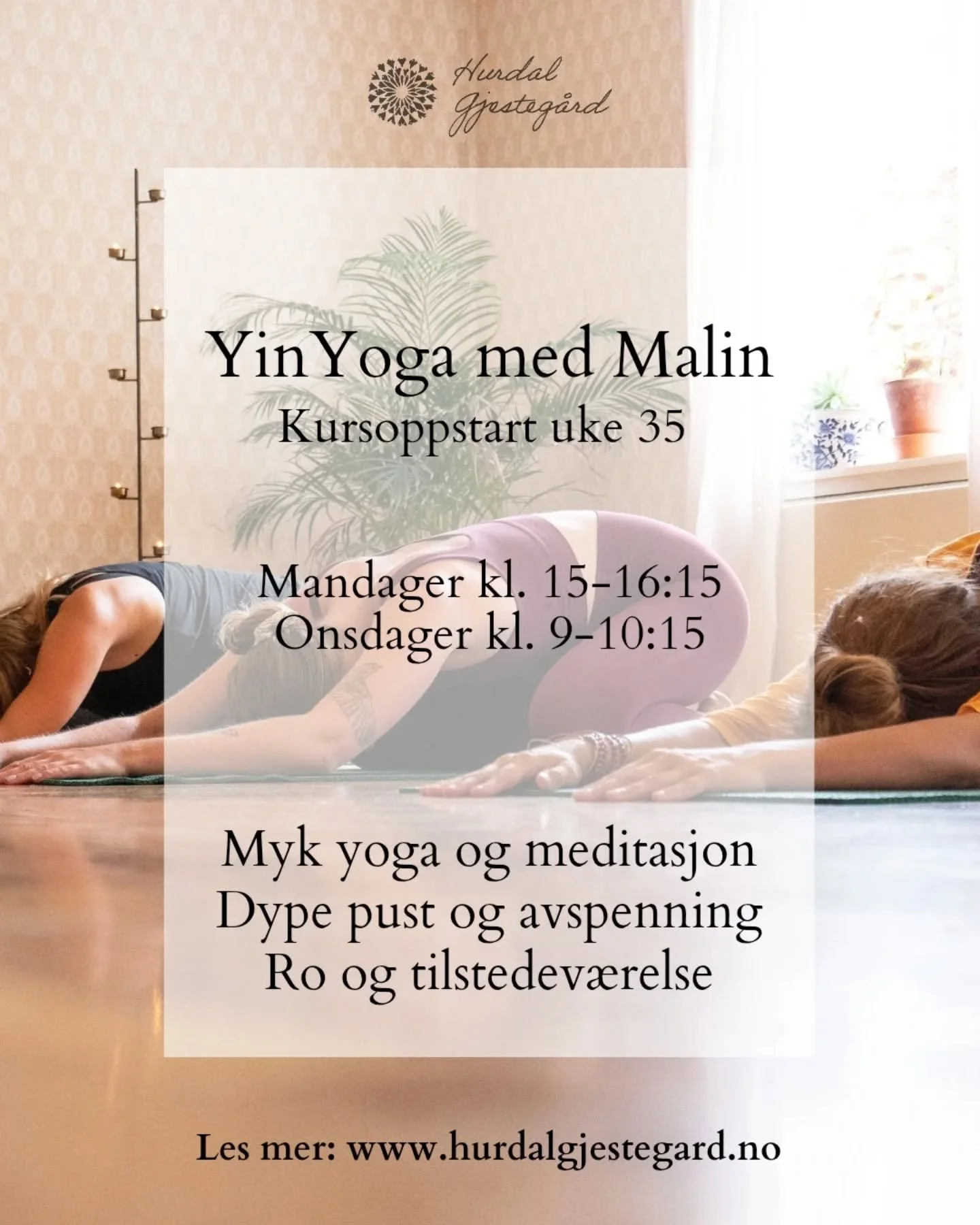 🍂 Nye kurs i h&oslash;st &ndash; to nye tider for deg som vil ha mer ro i hverdagen!

V&aring;rens kurs i yinyoga fikk mange gode tilbakemeldinger, og n&aring; setter jeg opp to nye kurs fra august:

📅 Mandager kl. 15.00&ndash;16.15
📅 Onsdager kl.