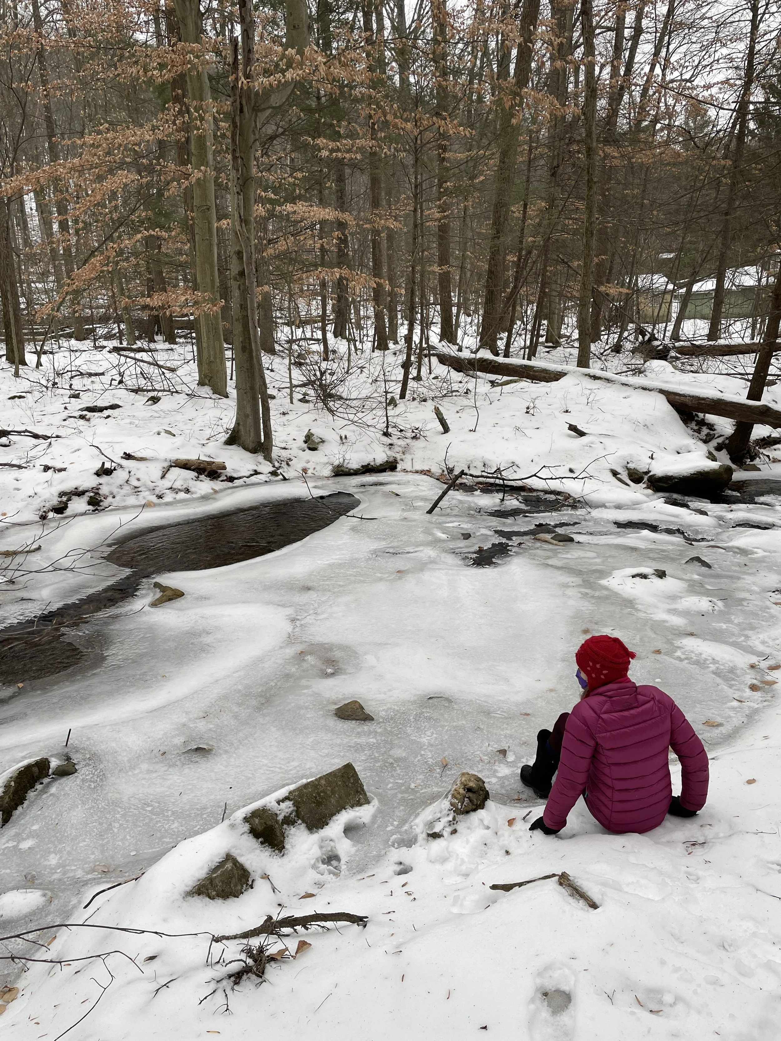 Sundays:  8:00 AM, Virtual Yoga Series