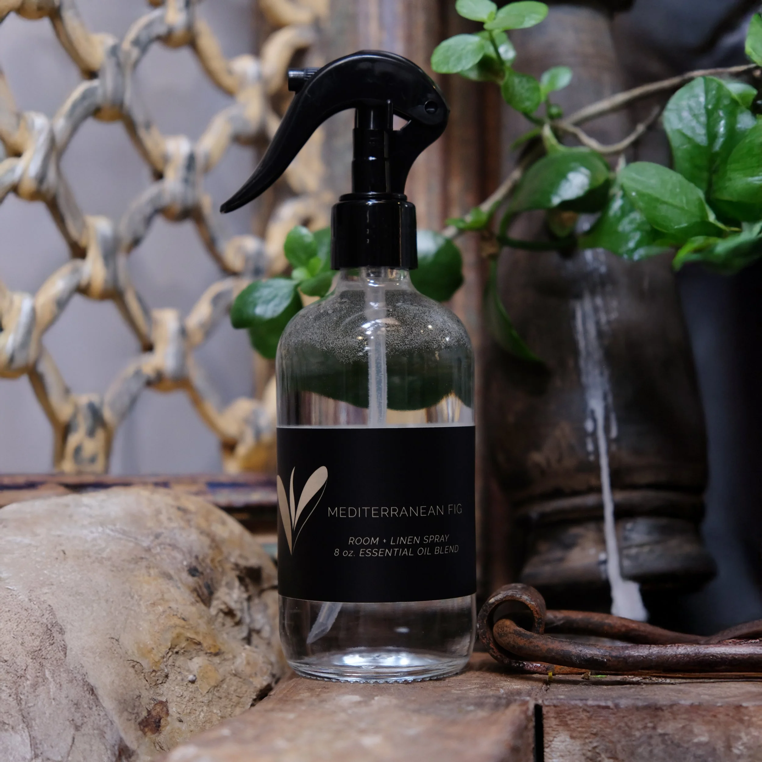 mediterranean fig spray 2-square.jpg