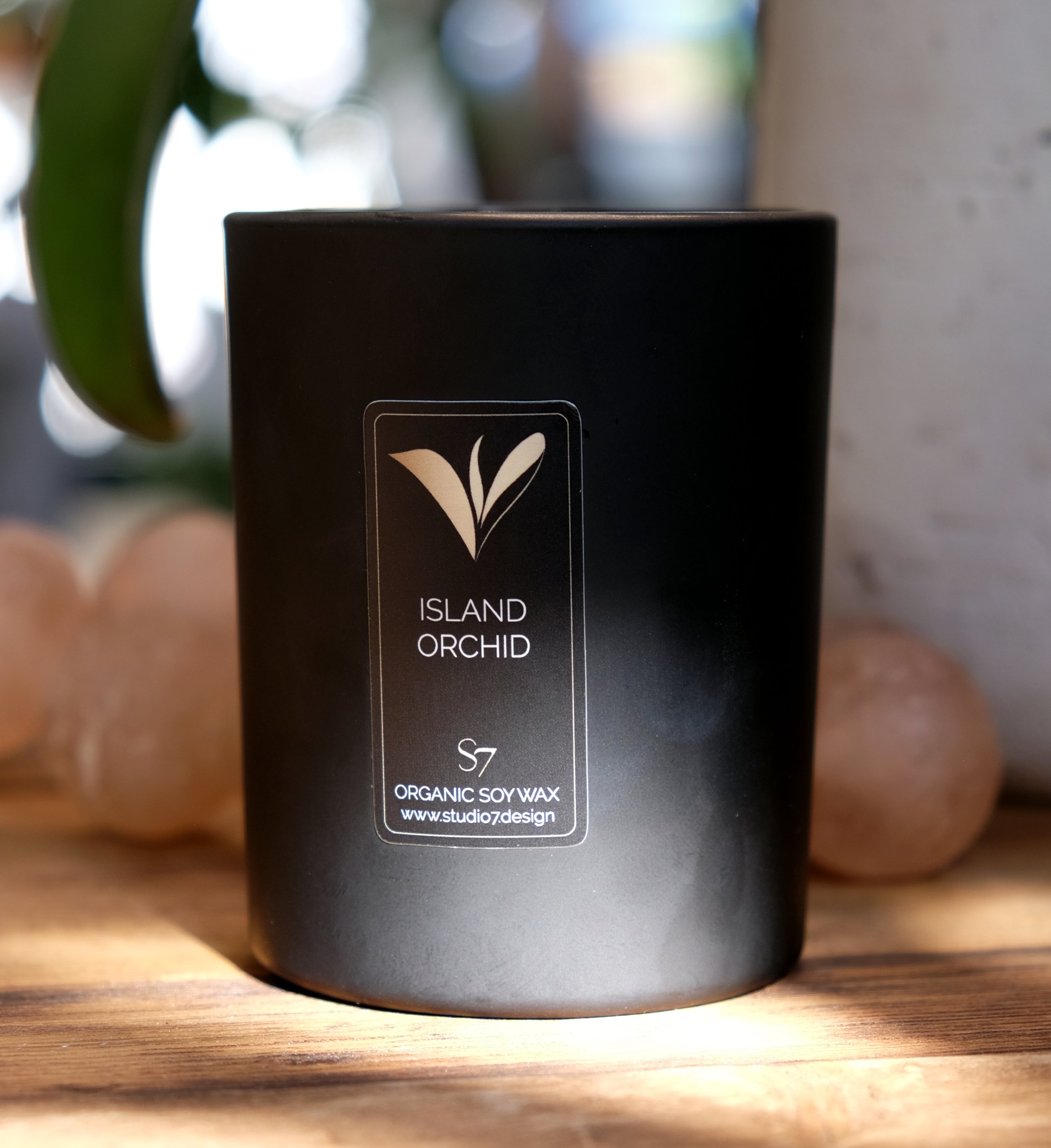 island orchid final 2.jpg