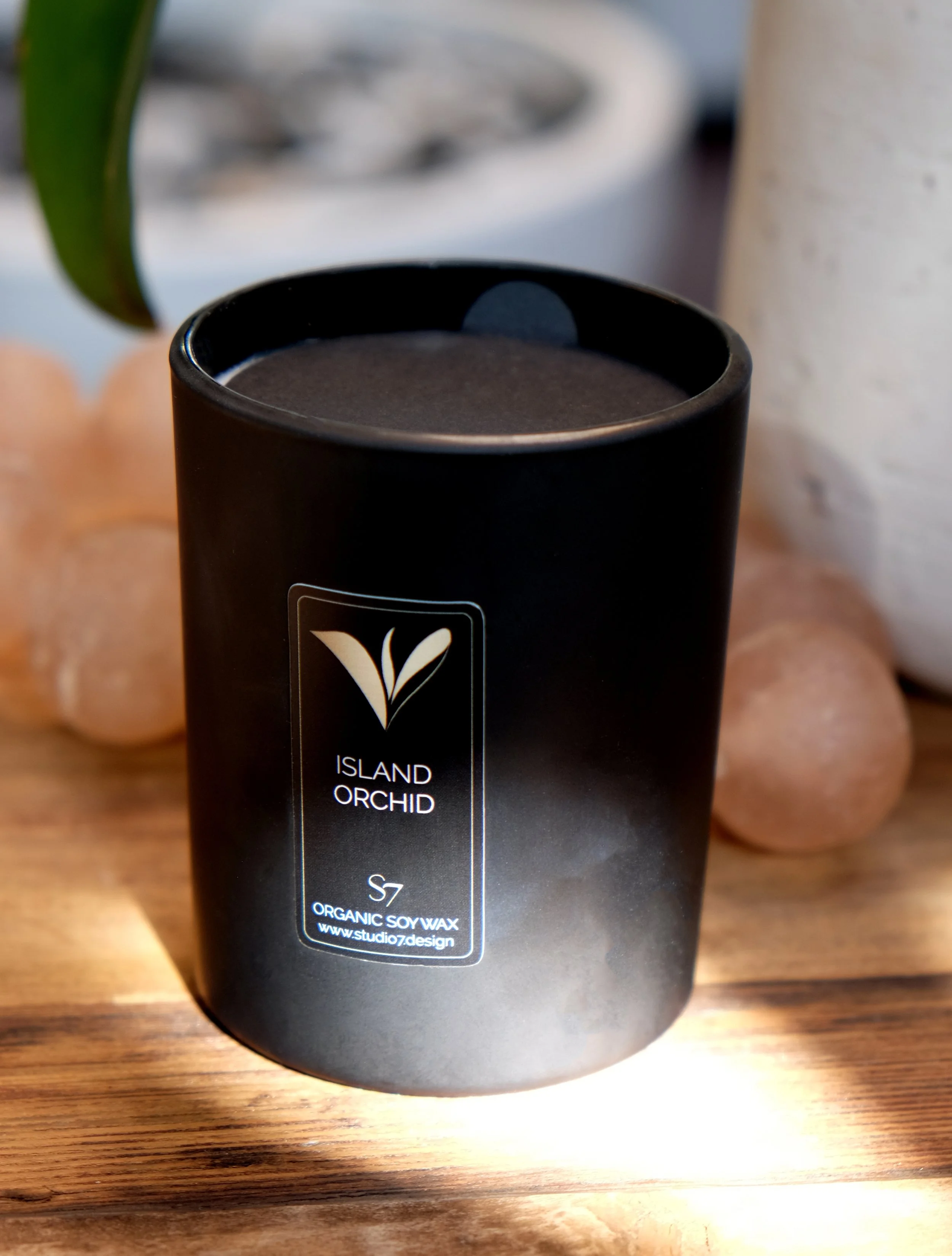 island orchid final 3.jpg