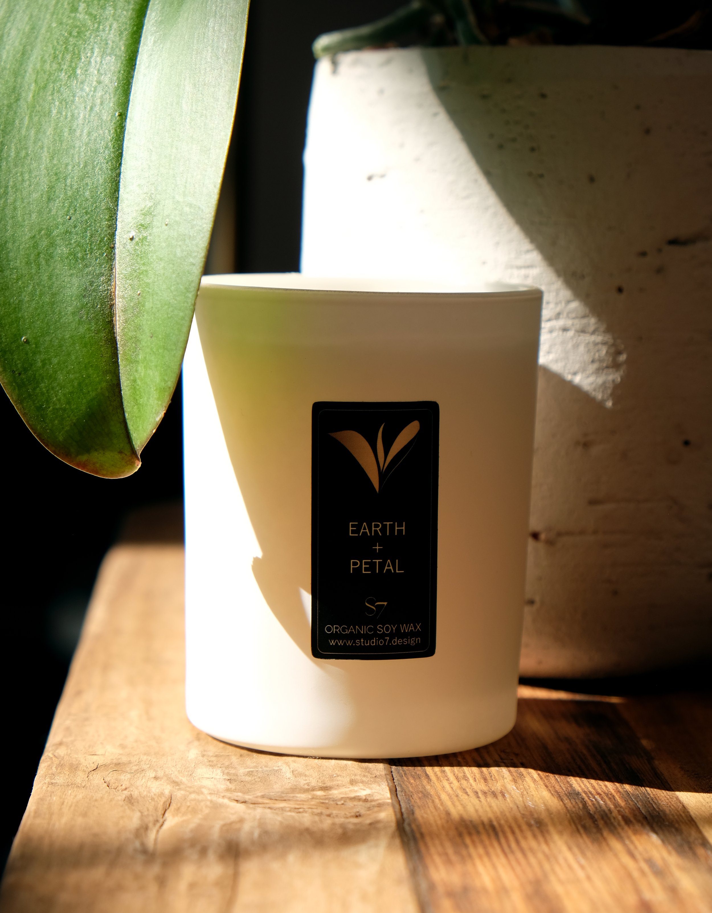 earth and petal final.jpg