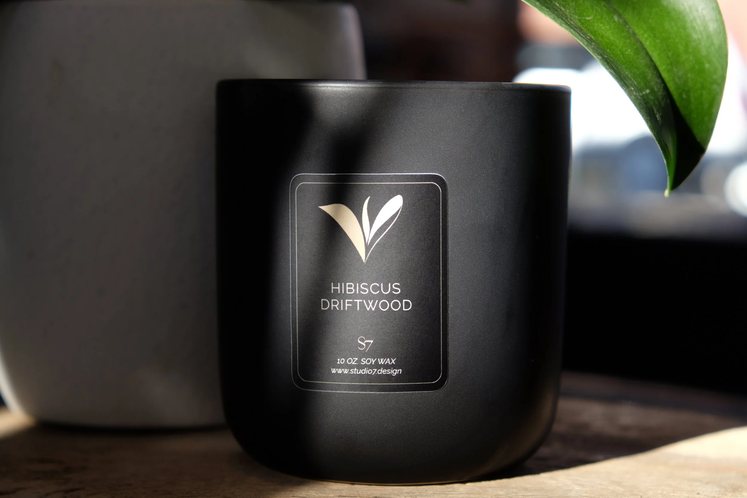 hibiscus driftwood final 4.jpg