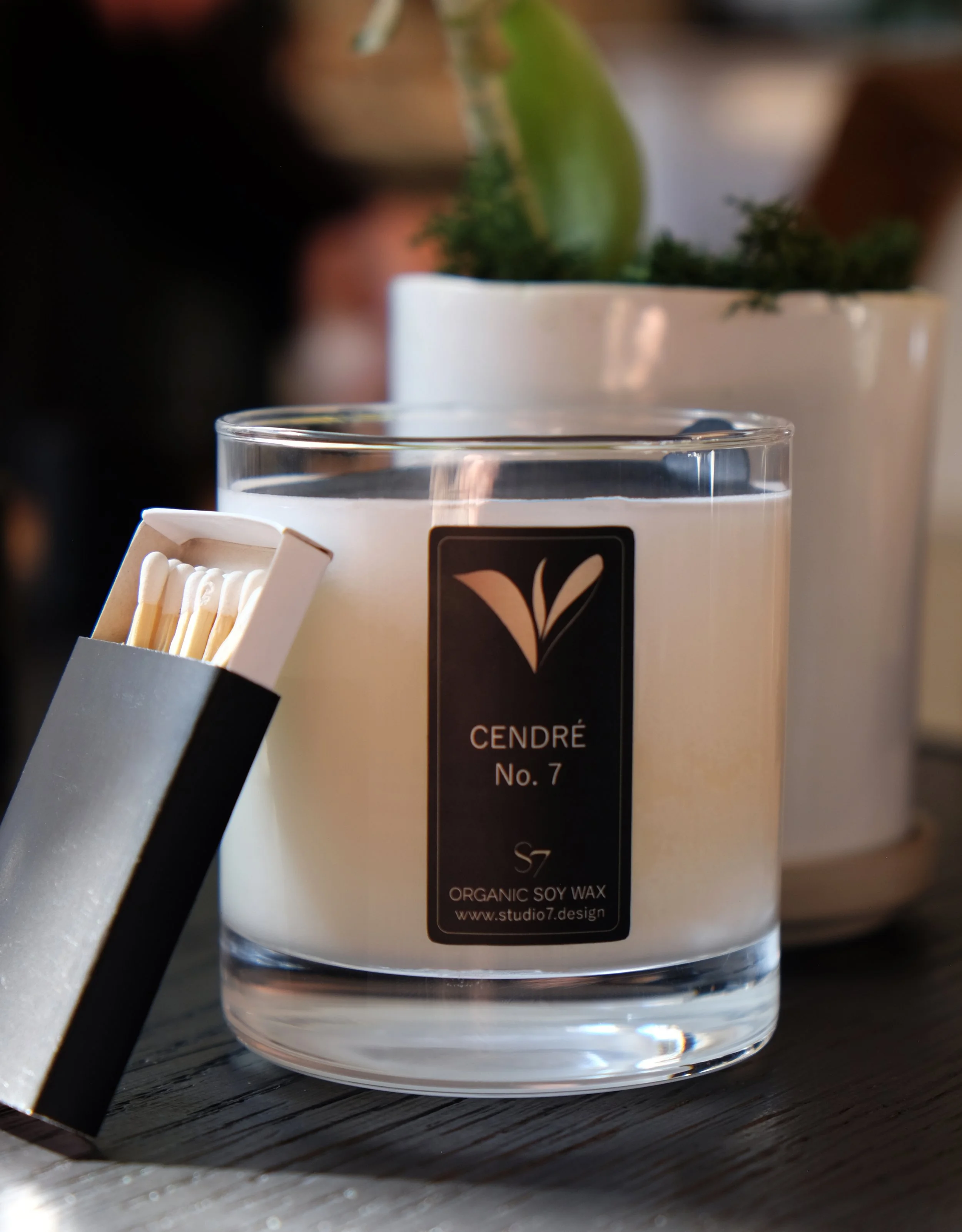 cendre no.7 final.jpg