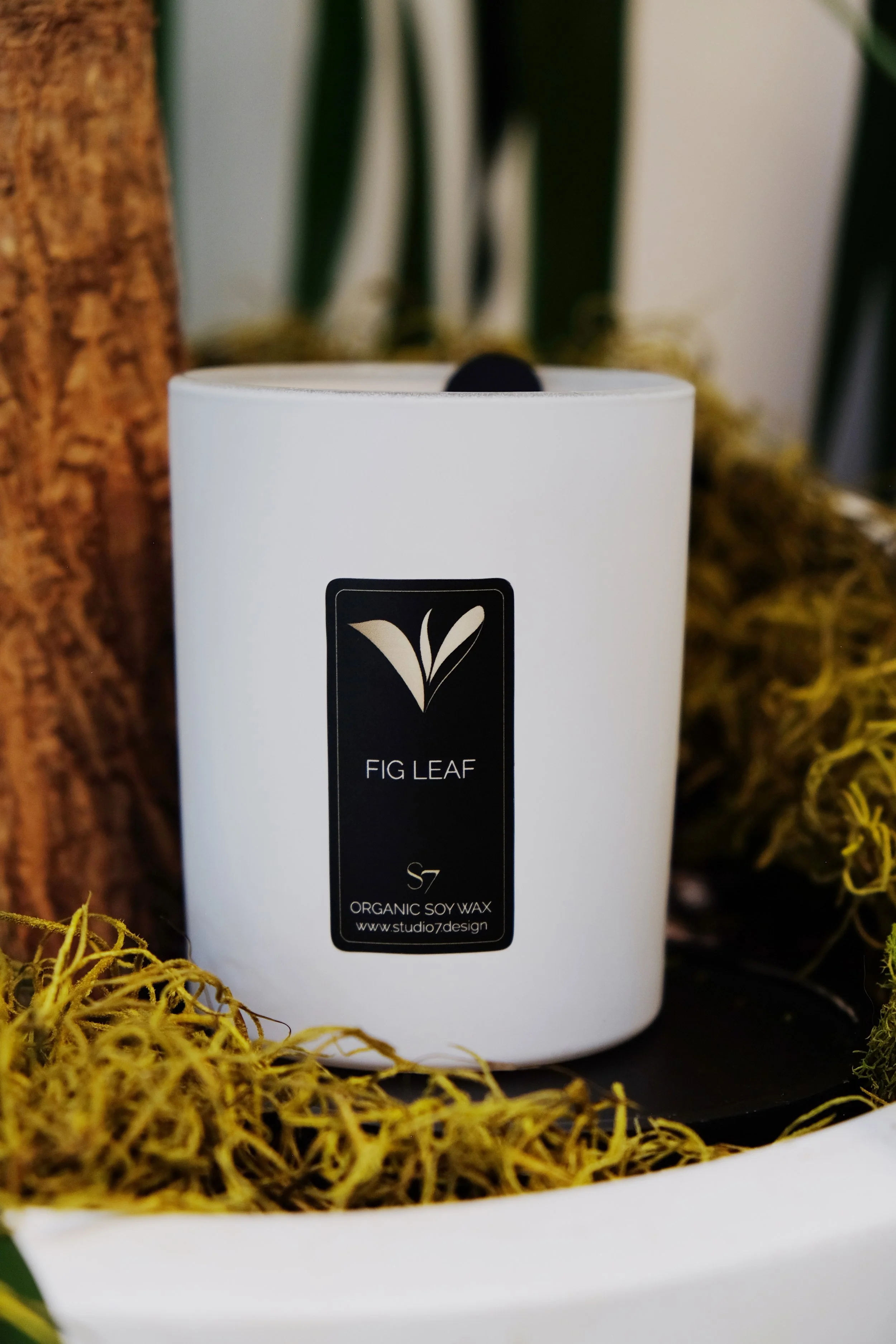 fig leaf final 3.jpg