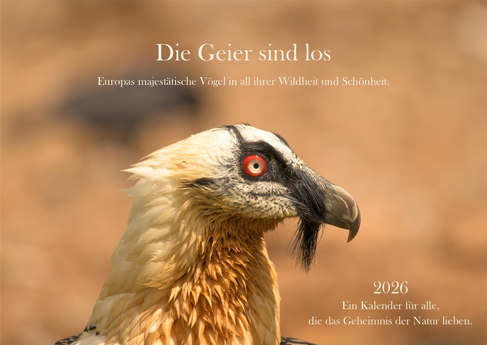 Kalender_2026_Seite1.png
