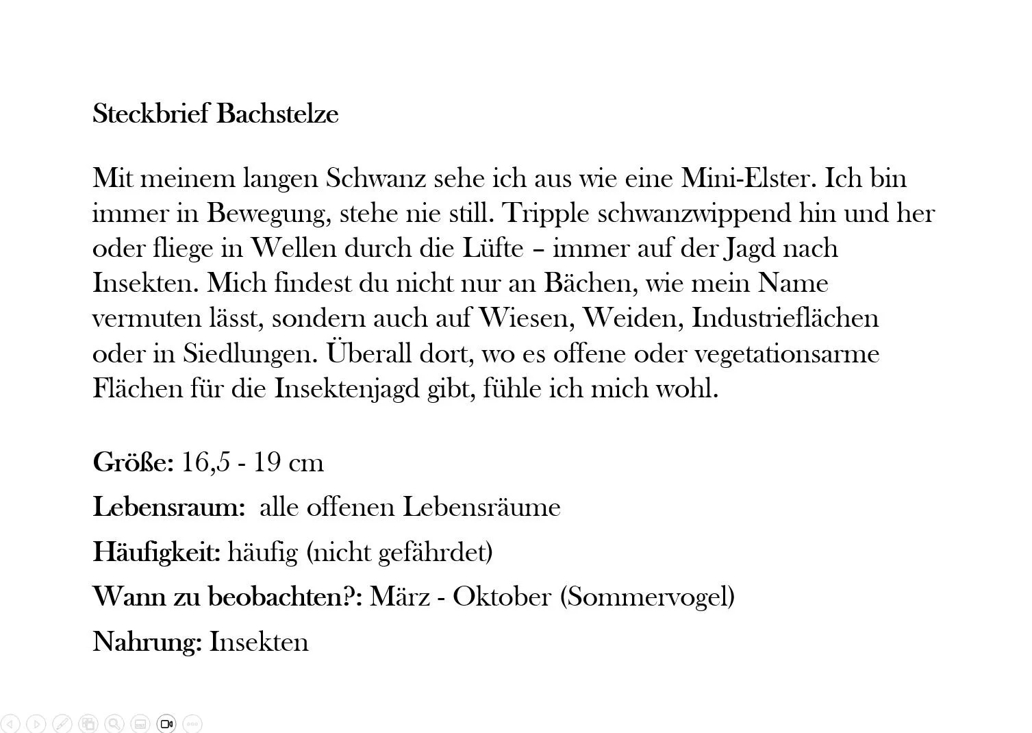 Bachstelze Steckbrief.JPG