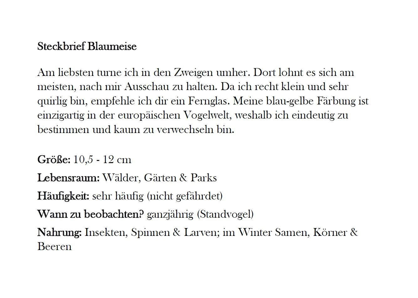 Blaumeise_2.JPG