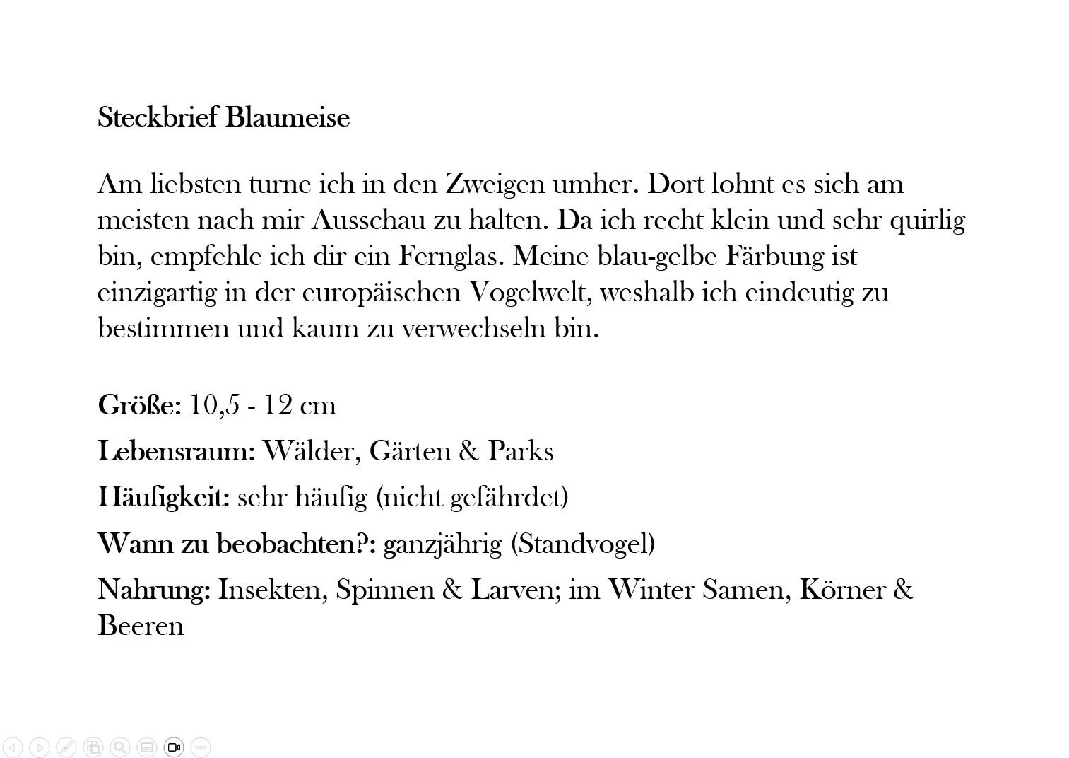 Blaumeise Steckbrief.JPG