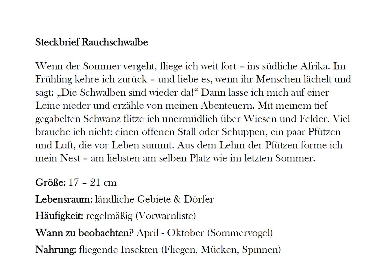 Rauchschwalbe_2.JPG