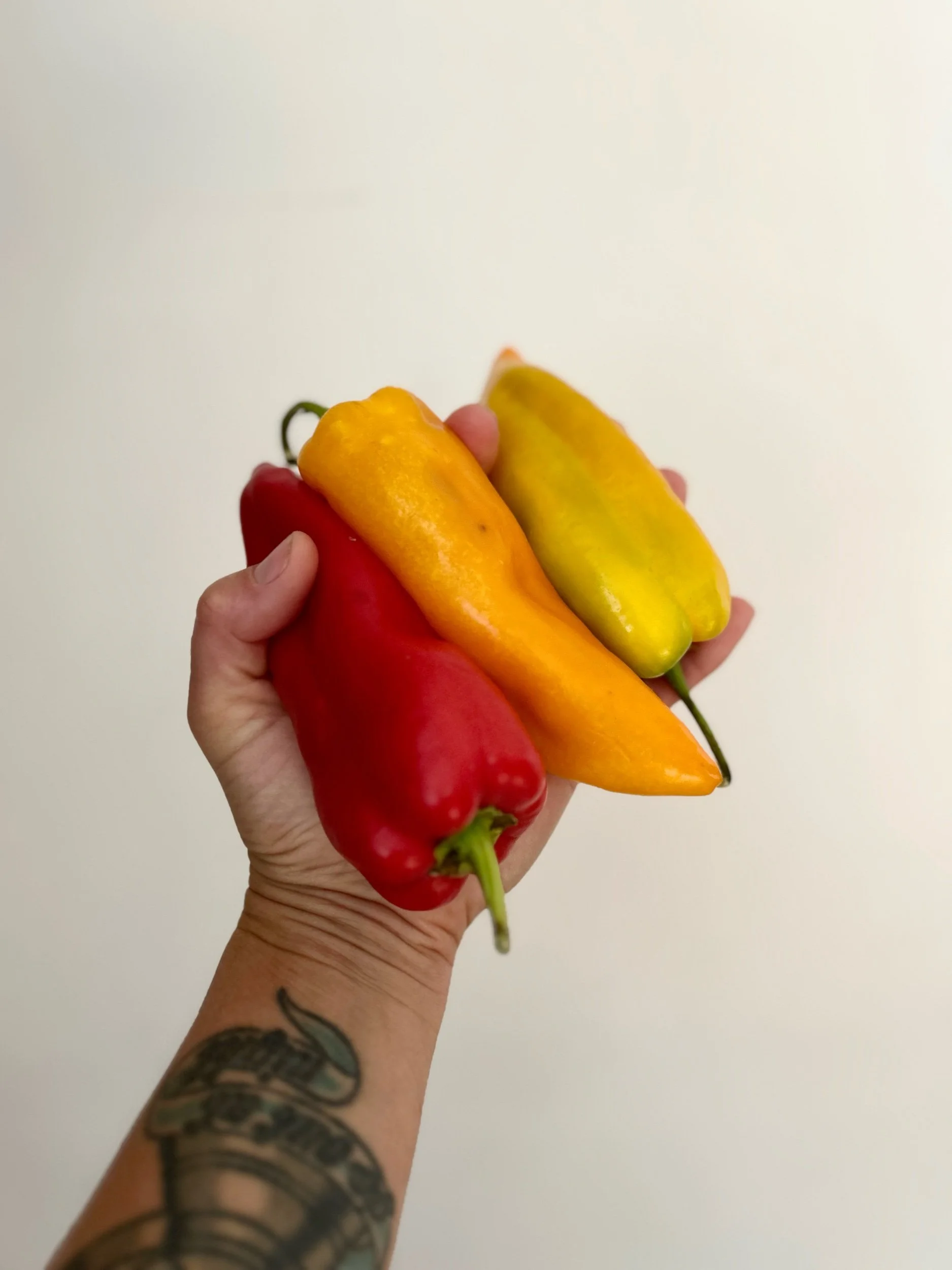 Frying Peppers