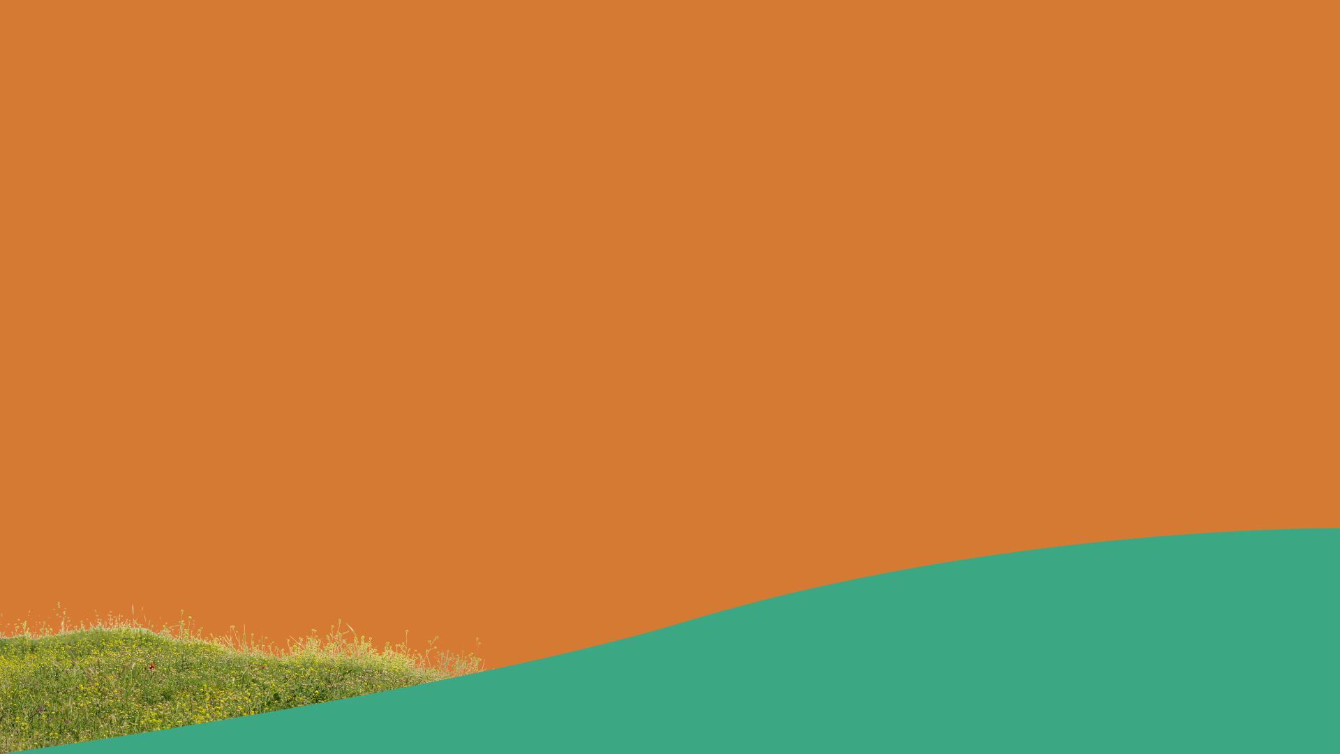 Description-Tools.png
