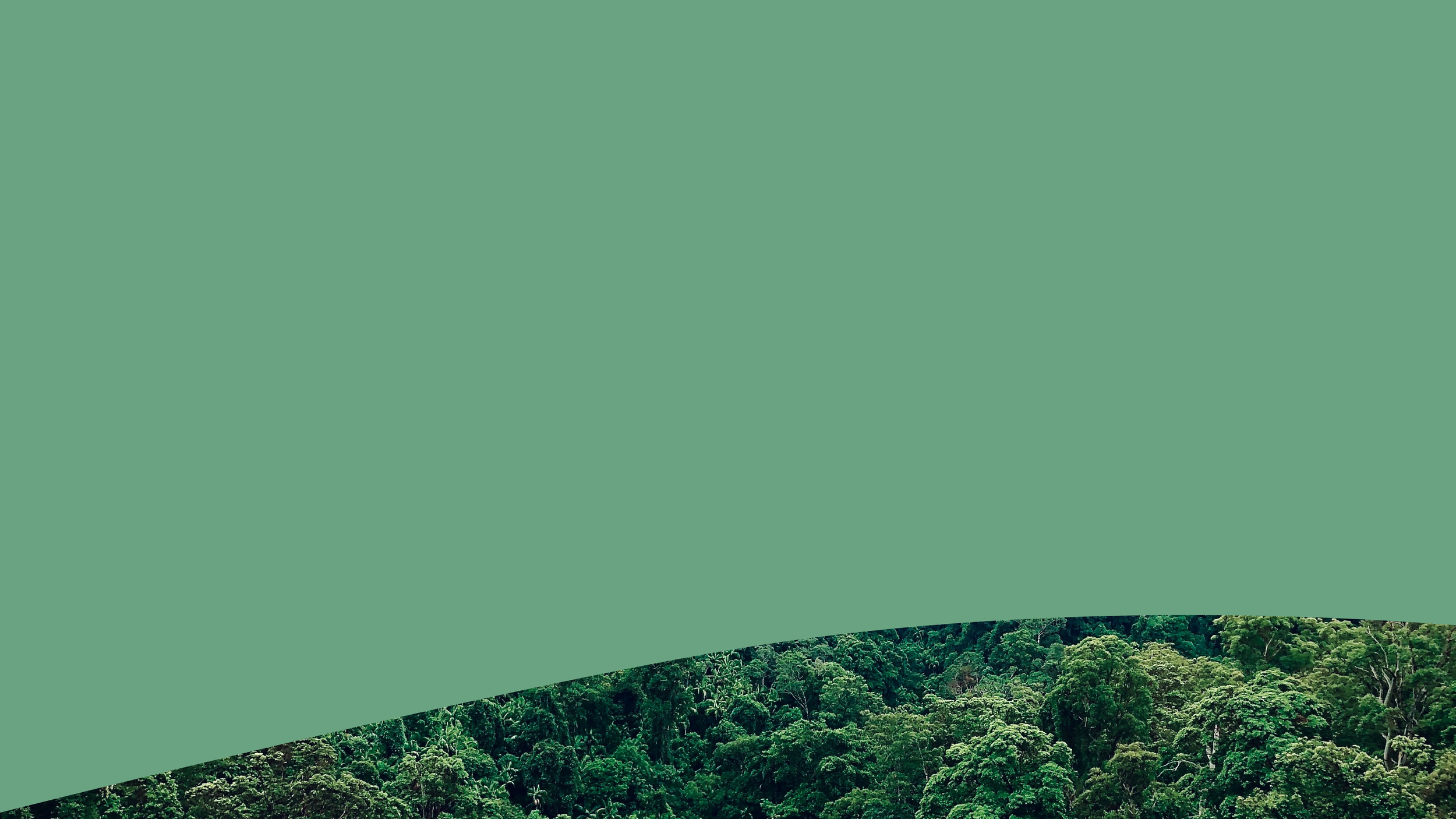 IP-NewBanners-10.png