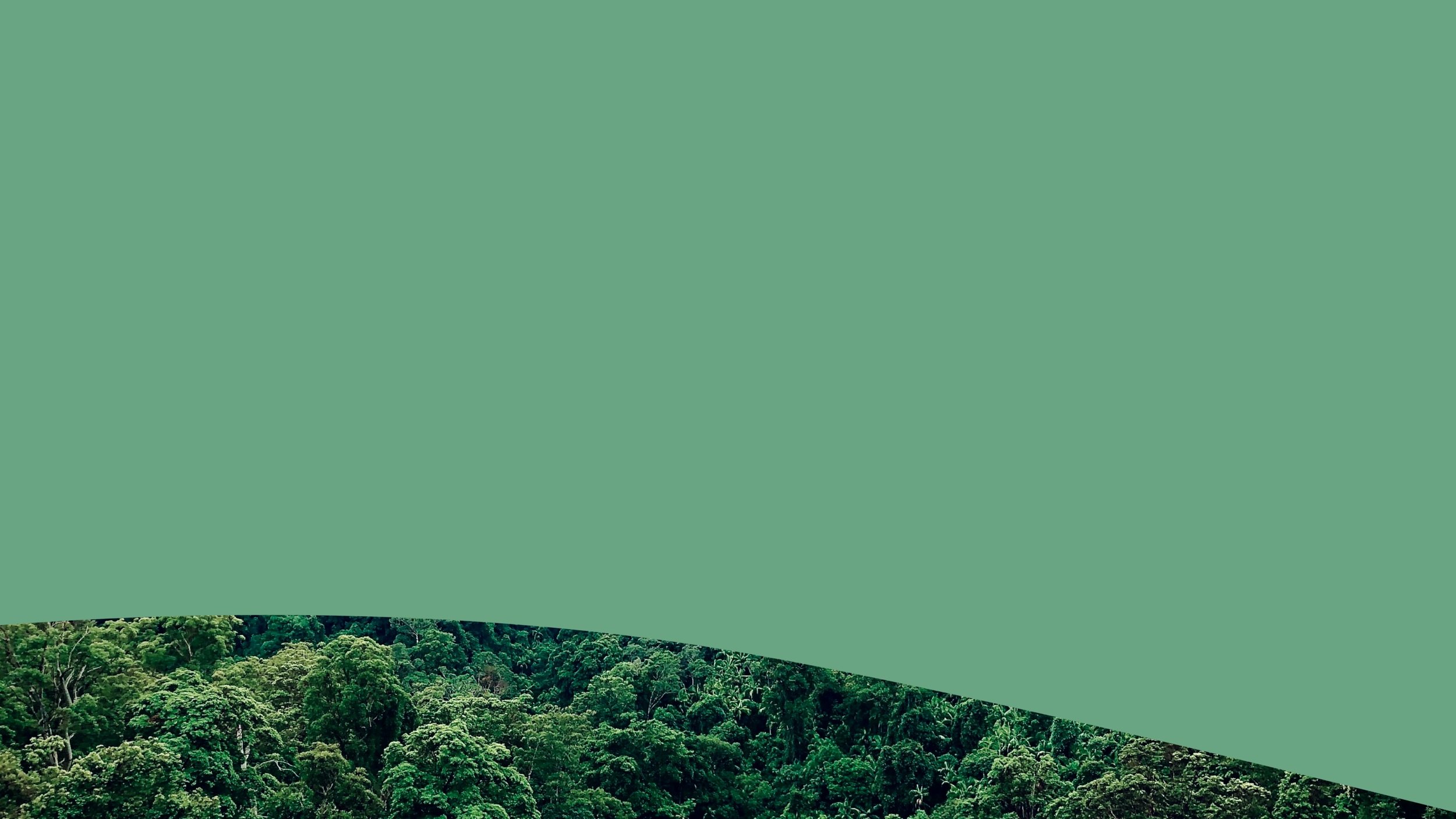 IP-NewBanners-10.jpg