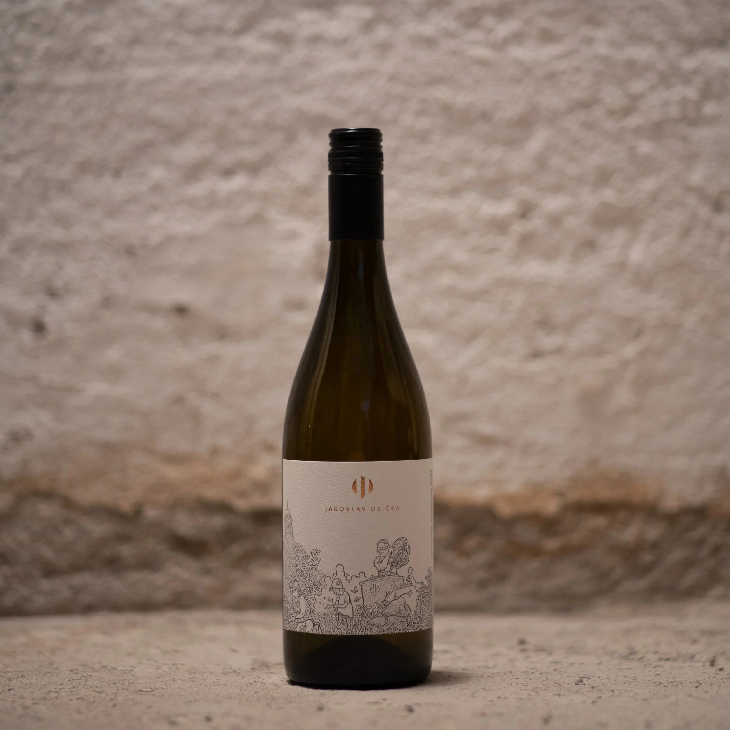 Jaroslav Osička, Moravian Rhapsody, 2023