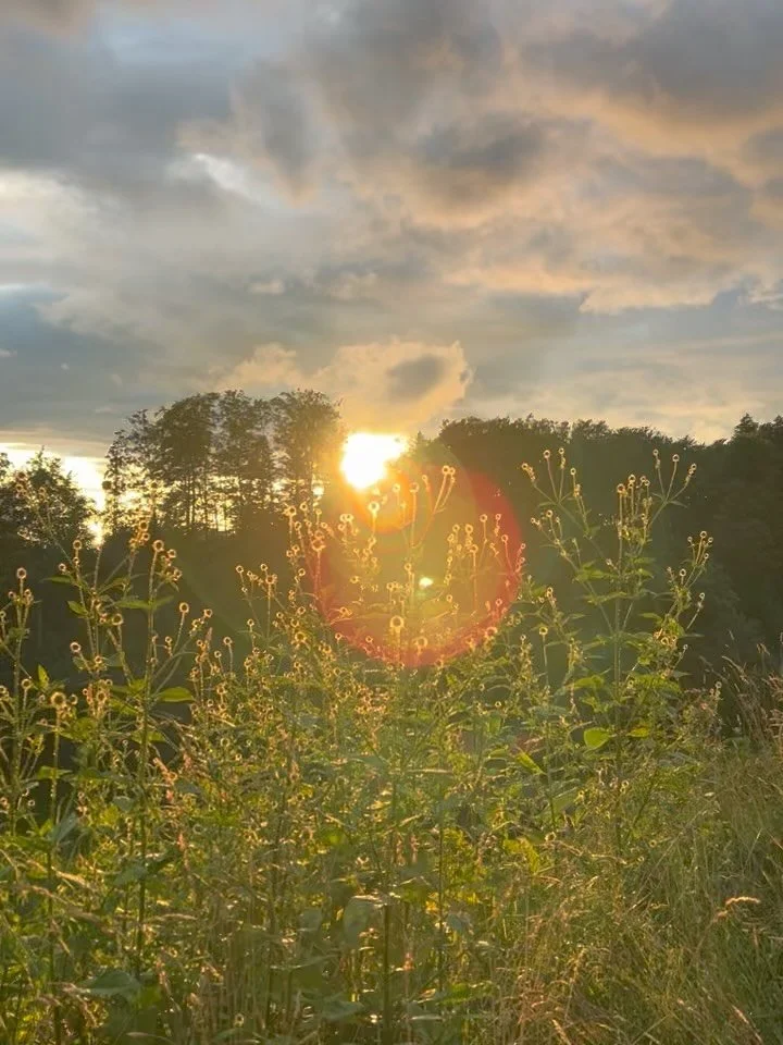 🌻Sensommer 

Jeg har en tendens til at blive lidt s&oslash;rgmodig p&aring; det her tidspunkt af &aring;ret. Sommeren n&aelig;rmer sig sin afslutning. Fik jeg nydt det nok, brugt nok tid i vandet, spist nok nye jordb&aelig;r og &aelig;rter, brugt no