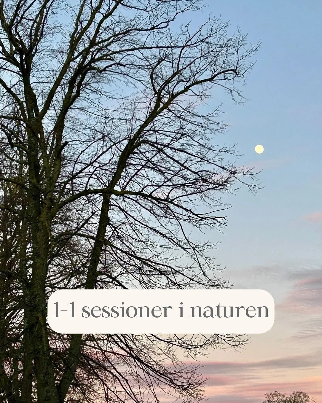 ❄️1-1 session og et s&aelig;rligt vintertilbud ❄️

&Oslash;nsker du et at blive guided i naturen, med &oslash;velser s&aelig;rligt tilrettelagt efter dine behov og det der fylder i dit liv lige nu? 

En 1-1 session i naturen kan tage udgangspunkt i e