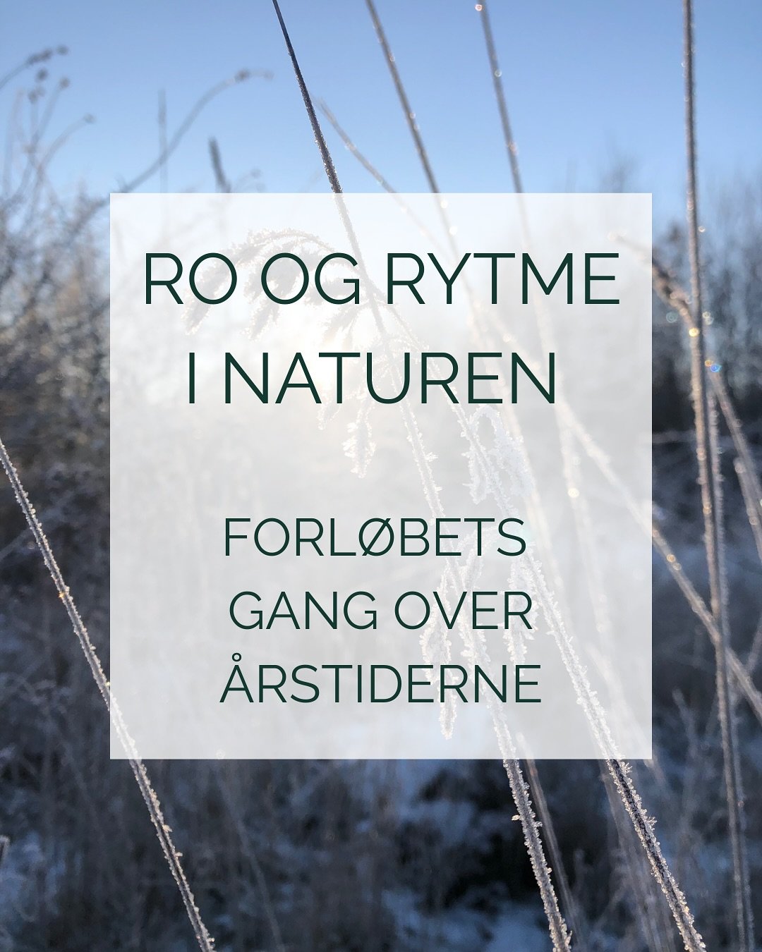 I forl&oslash;bet &ldquo;Ro og Rytme&rdquo; m&oslash;des vi &eacute;n gang om m&aring;neden mellem marts-november. Dette giver os mulighed for at f&oslash;lge naturens rytme, og dermed ogs&aring; kigge n&aelig;rmere p&aring; hvad naturen bringer frem