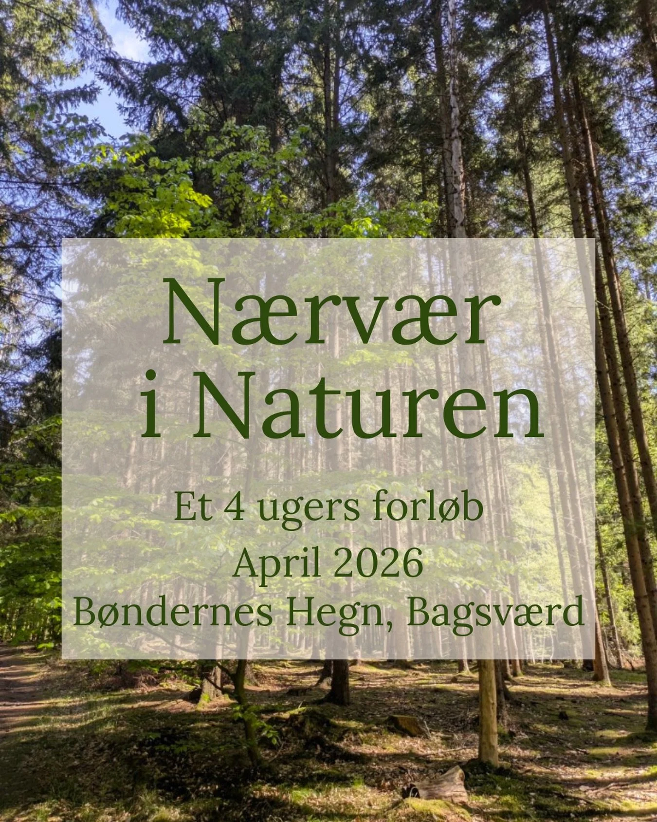 🌱 4 ugers forl&oslash;b, april 2026 🌱

Kom med p&aring; et forl&oslash;b over 4 gange, med fordybelse, stilhed og n&aelig;rv&aelig;r i naturen. 

Hver m&oslash;degang vil indeholde stillevandring, blid bev&aelig;gelse, sanse&oslash;velser, samt en 