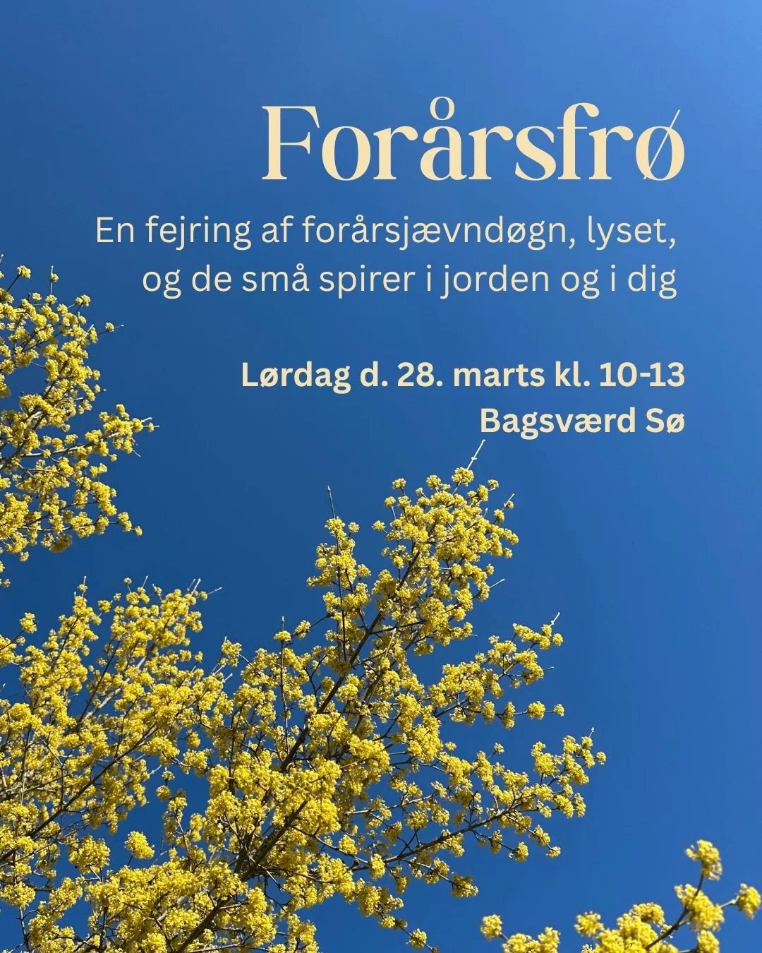 Ny event: 🌱 For&aring;rsfr&oslash; 🌱

Kom med mig ud i naturen for at fejre af for&aring;rsj&aelig;vnd&oslash;gn, lyset, og de sm&aring; spirer i jorden og i dig. 

Vi m&oslash;des l&oslash;rdag d. 28. marts kl 10-13 p&aring; Skovbrynet st., og g&a