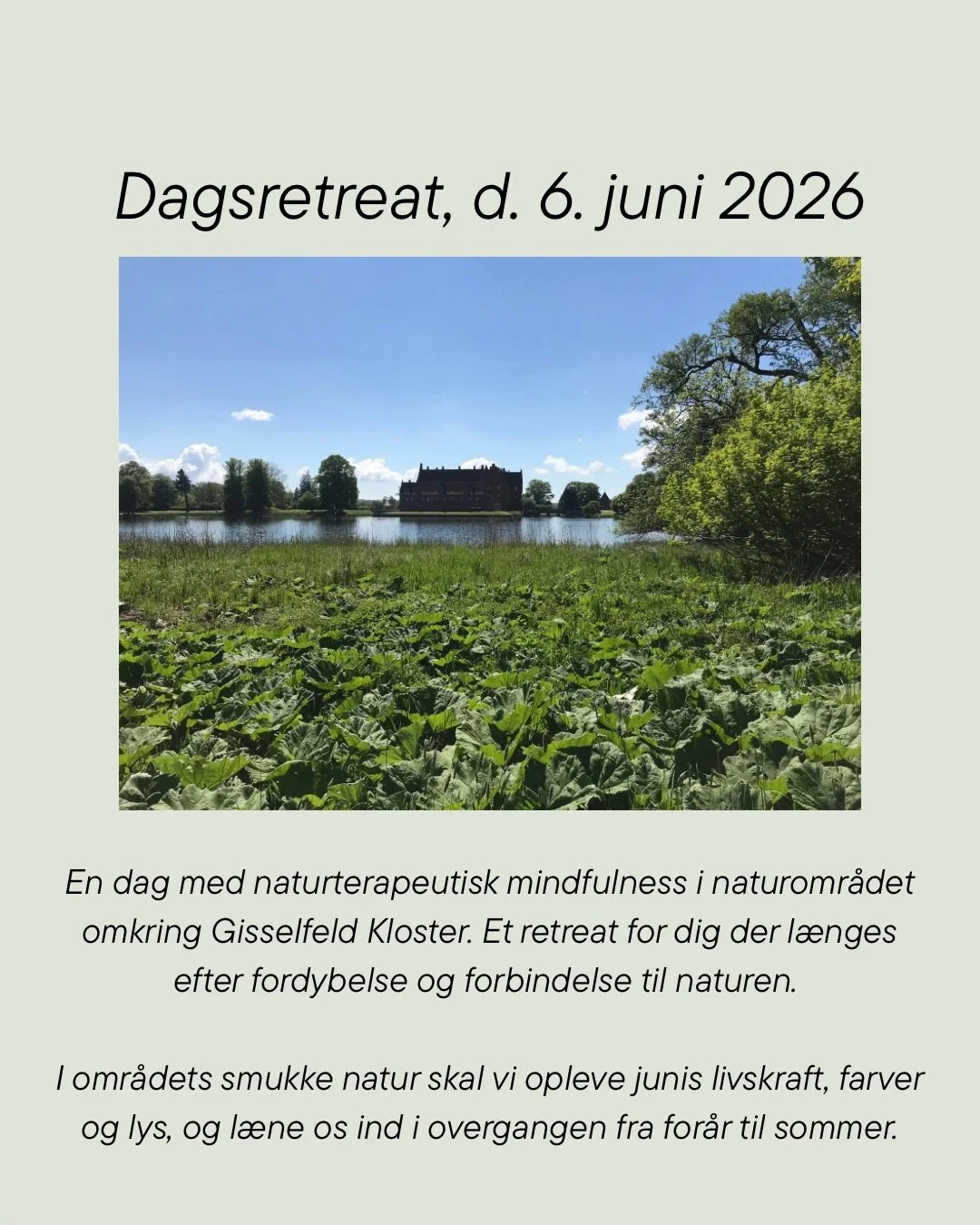 🌞Dagsretreat ved Gisselfeld🌞

Vi gentager succesen fra vores dagsretreat i efter&aring;ret 😍

Gl&aelig;d dig til en dag med naturterapeutisk mindfulness i naturomr&aring;det omkring Gisselfeld Kloster. Et dagsretreat for dig der l&aelig;nges efter