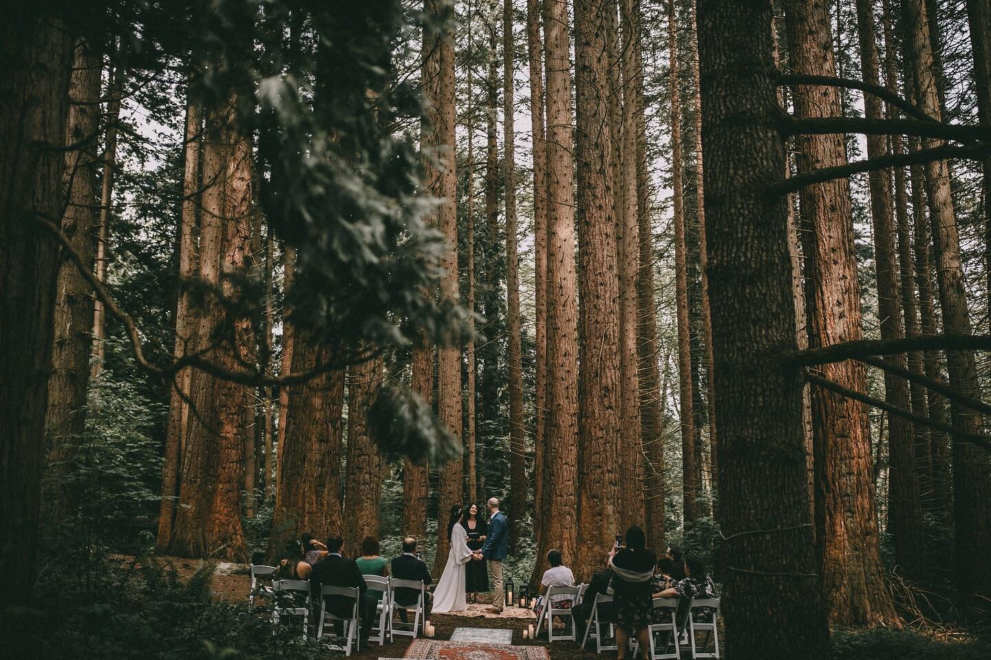 Nothing better than a forest elopement in Vancouver. 

@jocelynbaconevents 
@amandacoldicuttphoto